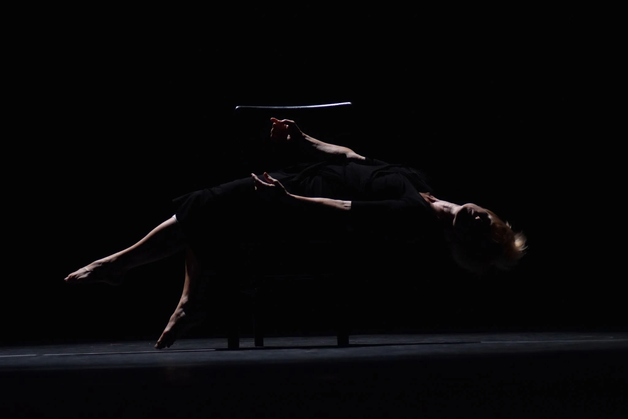 pd_2015showcase1.jpg