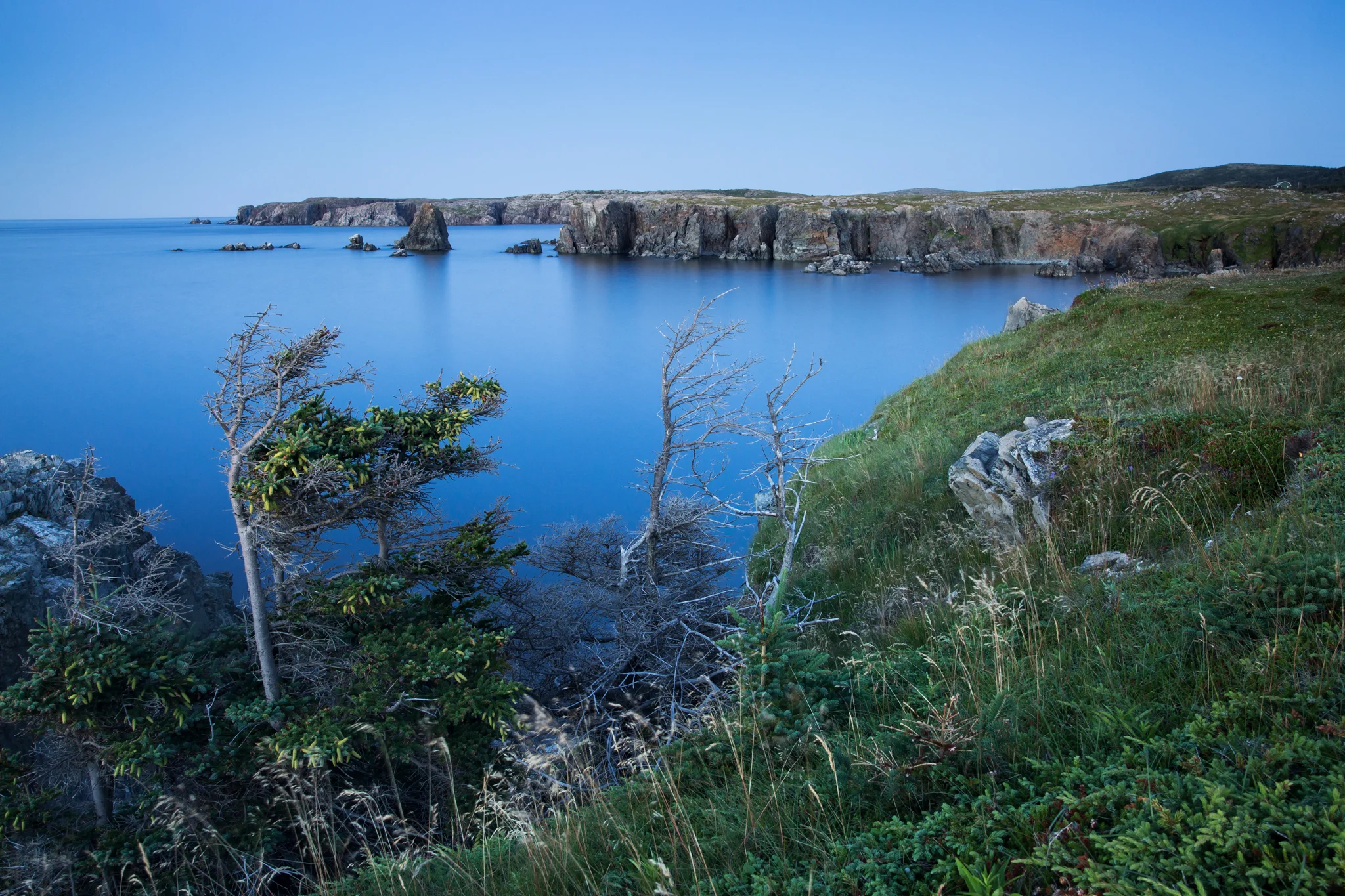 wsimpson_bonavistaNL_24-70mmart017.jpg