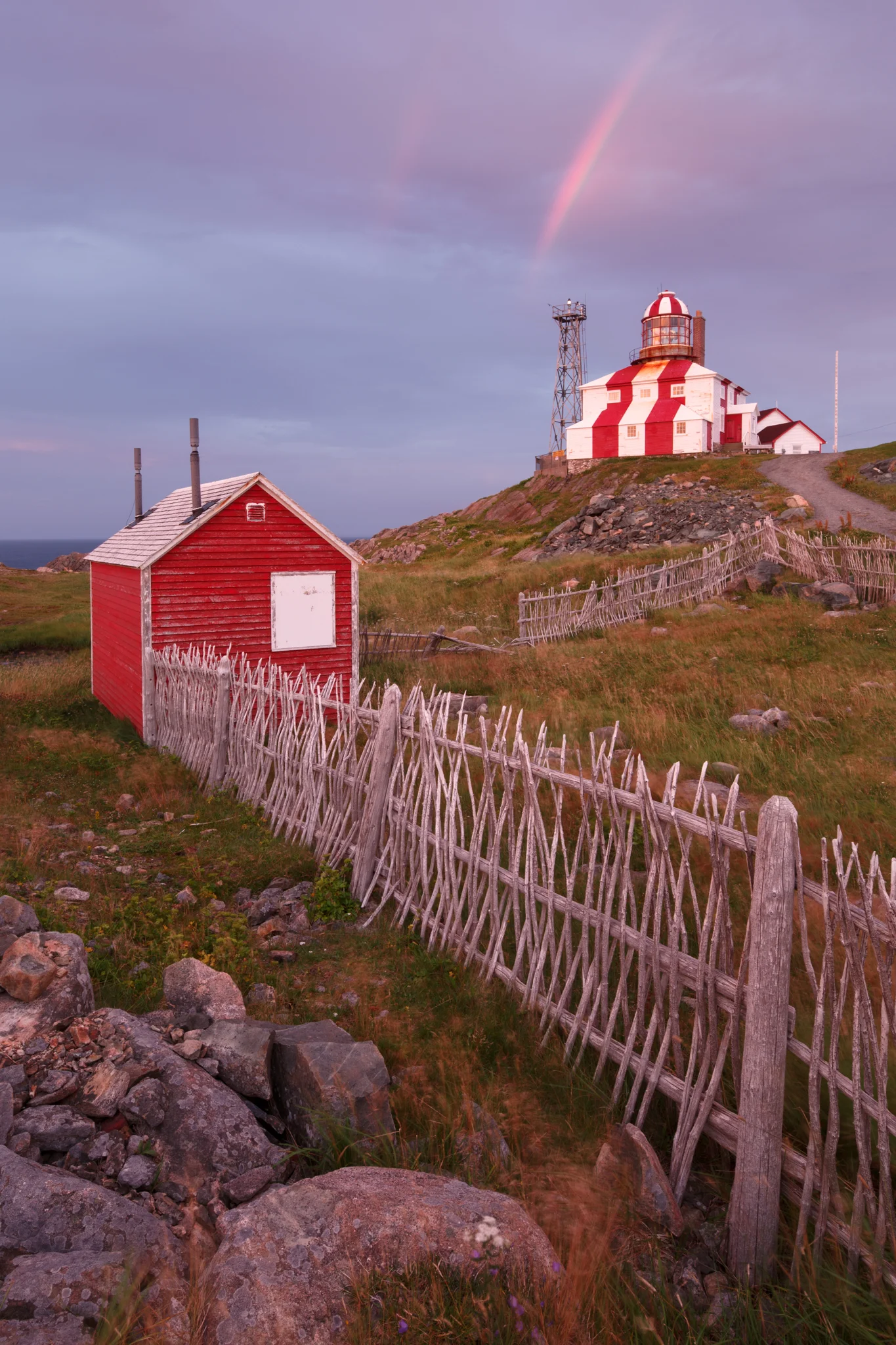 wsimpson_bonavistaNL_14-24mmart015.jpg
