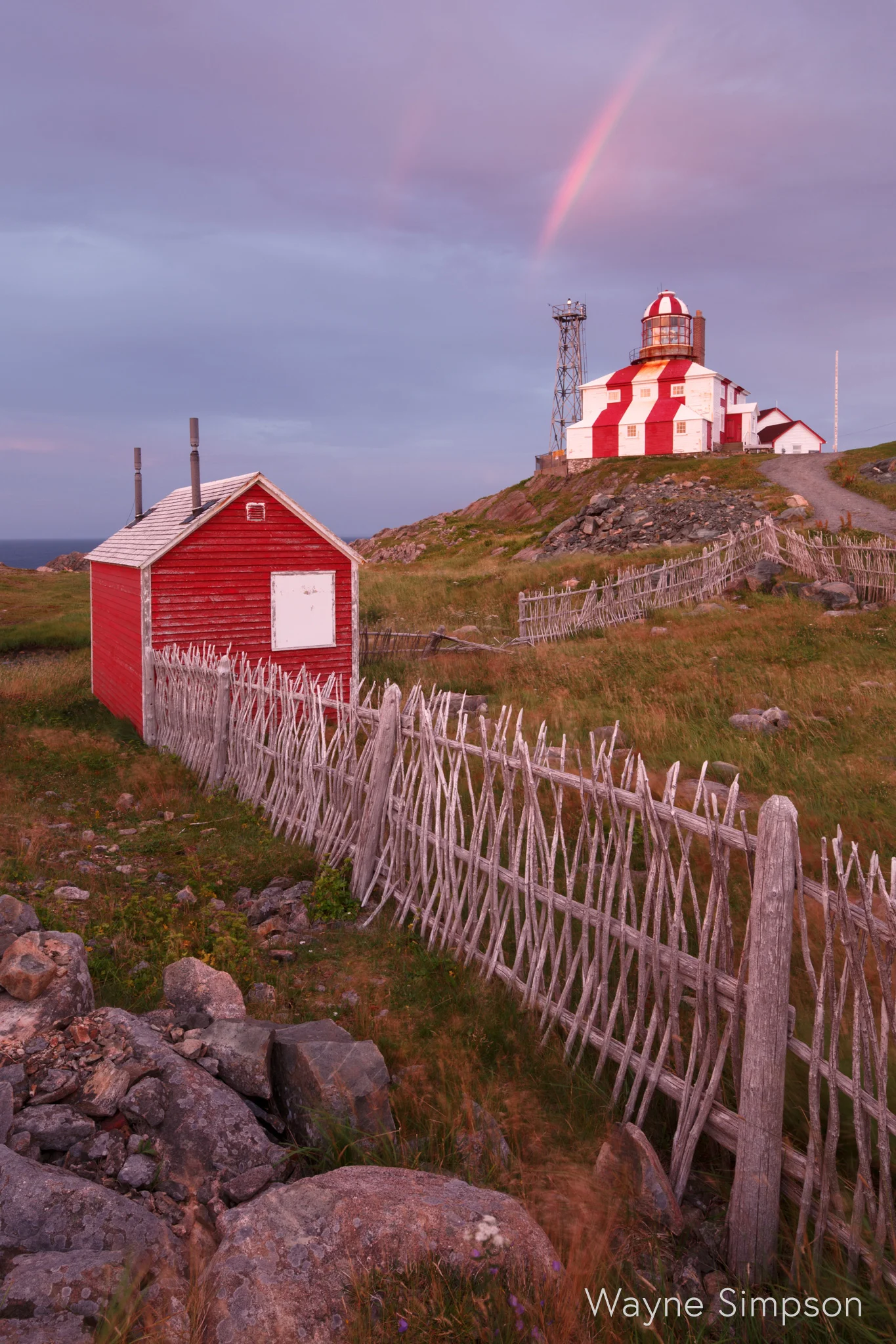 wsimpson_bonavistaNL_14-24mmart015.jpg