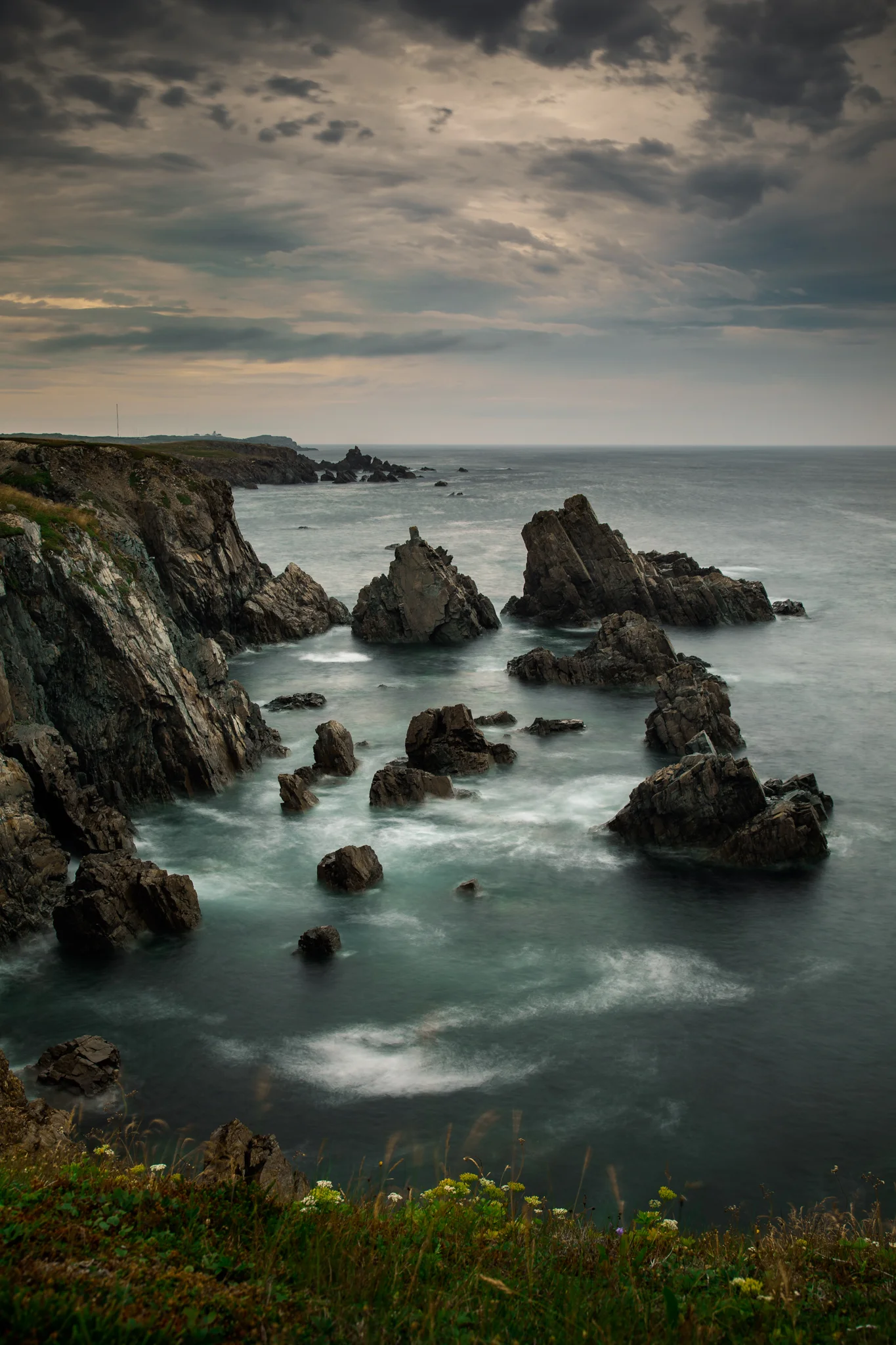 970A3169-Edit.jpg