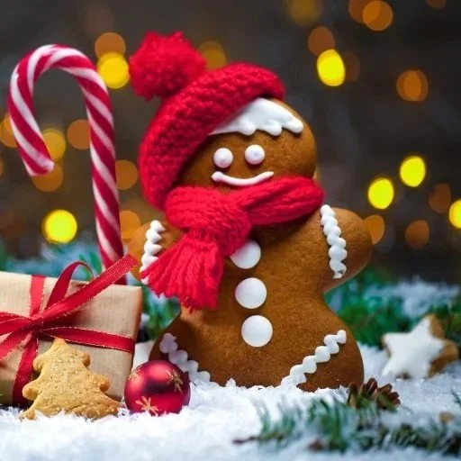 Santa’s Workshop Mini Camp