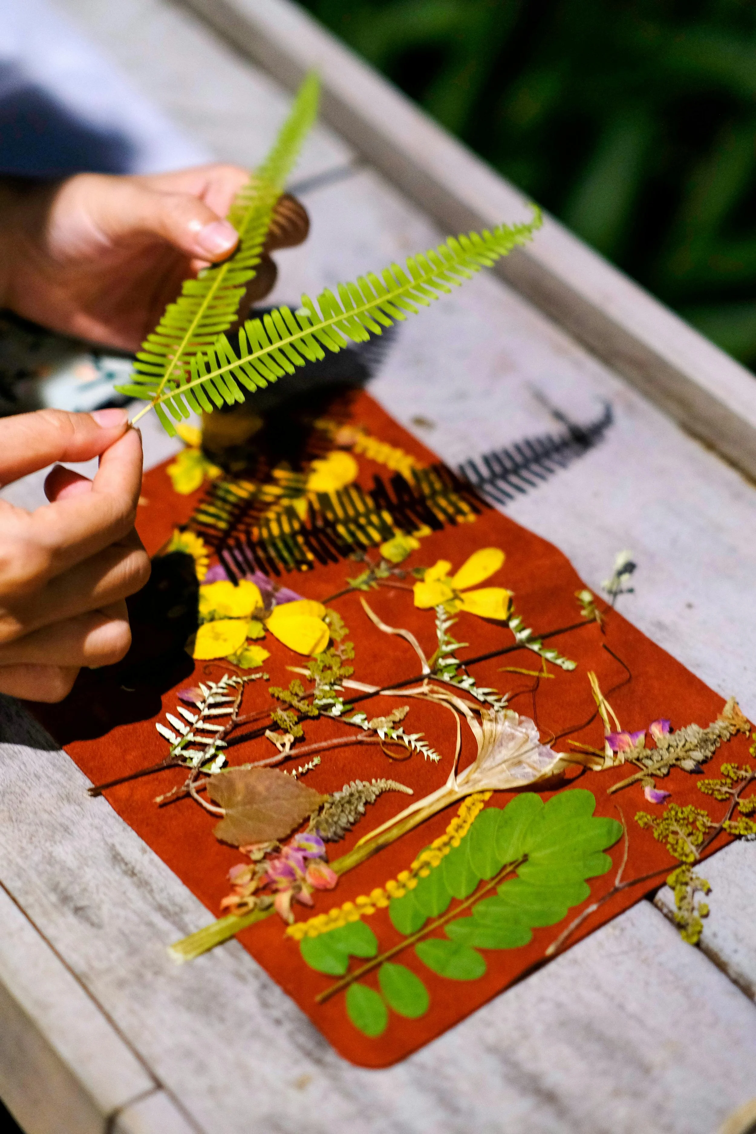 pexels-nhavan-34199676.jpg (Copy)