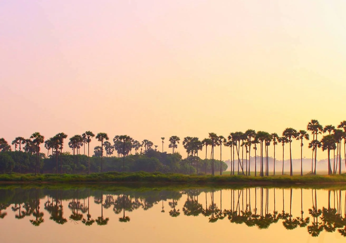 Tilaxan Entry page.jpg