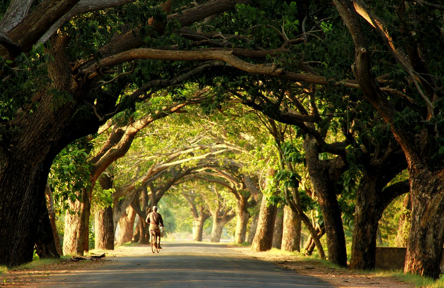 Tilaxan photo 2.jpg