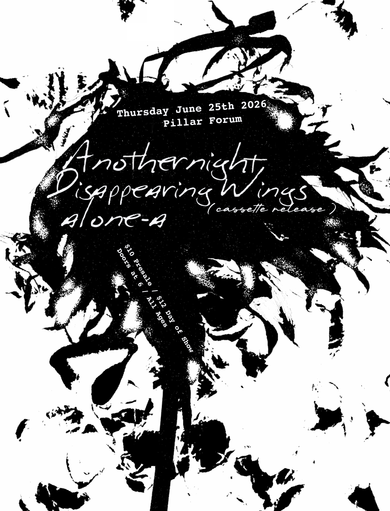 Disappearing Wings with Anothernight, and alone-a