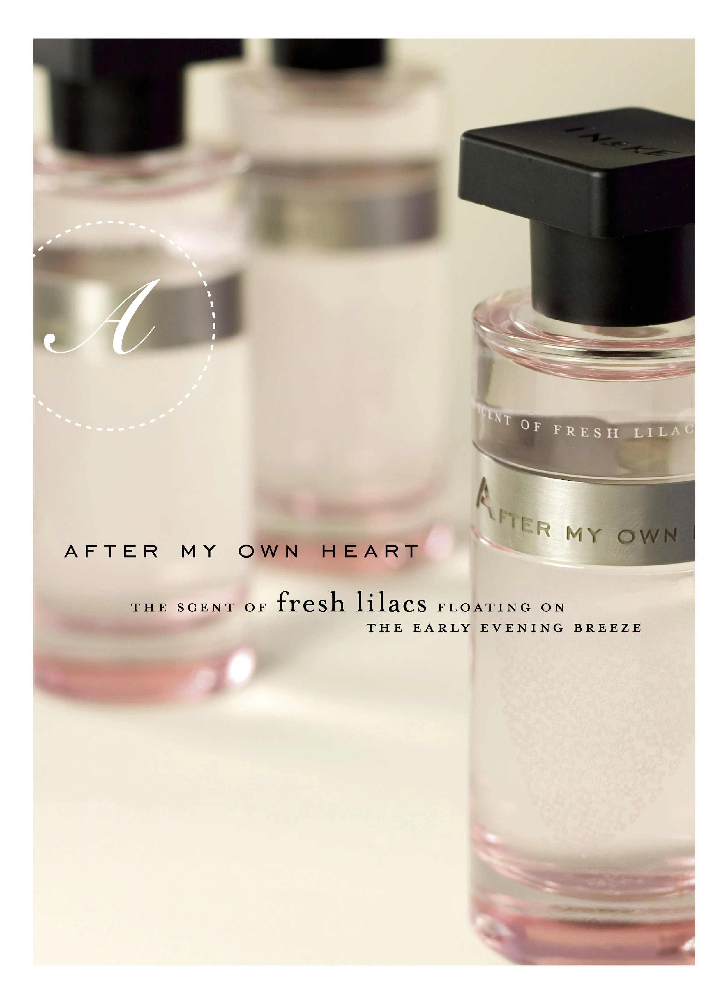 Ineke, After My Own Heart, Lilac, perfumes for men, perfumes for women
