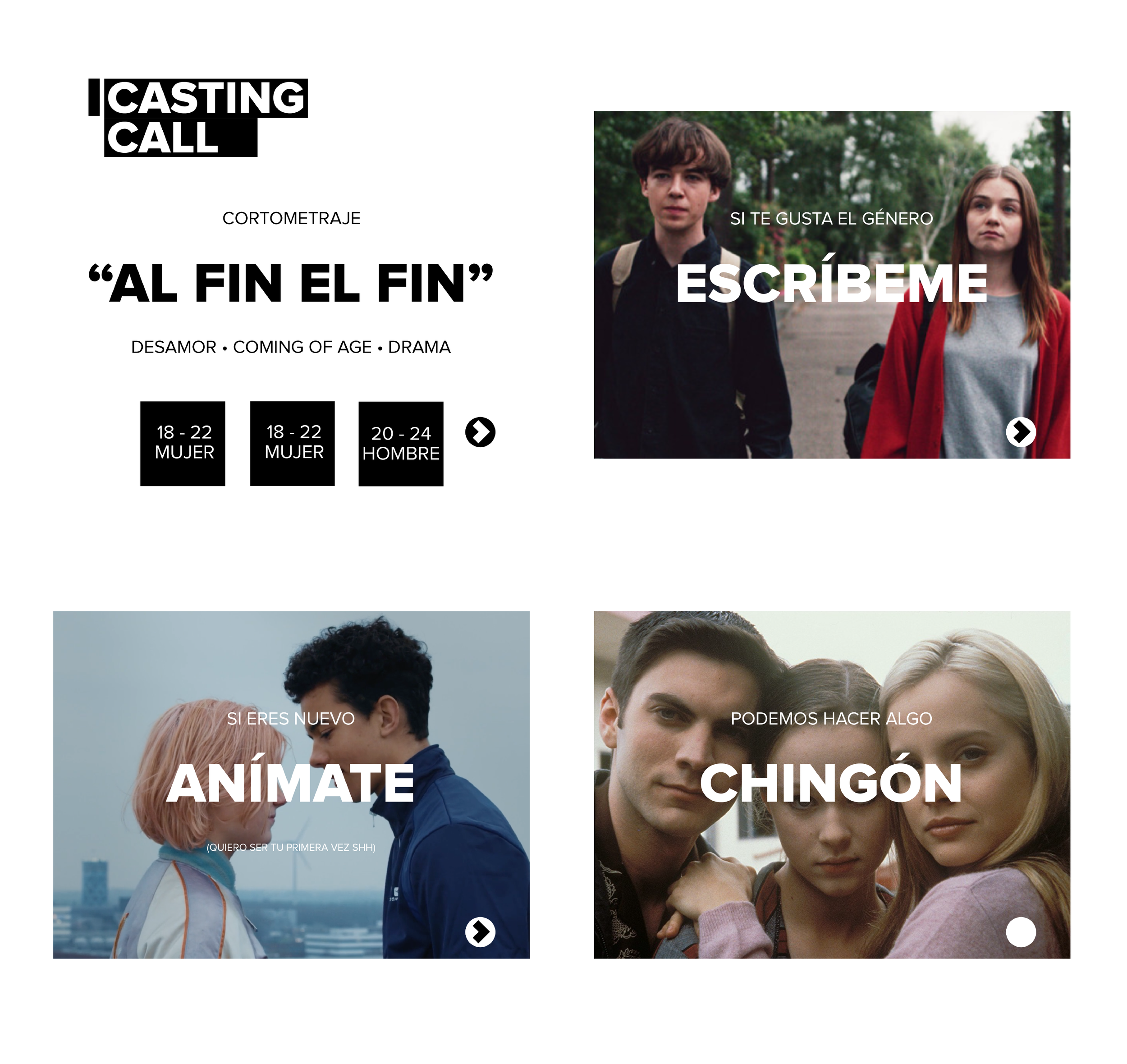  Publicidad para llamados de  castings . 