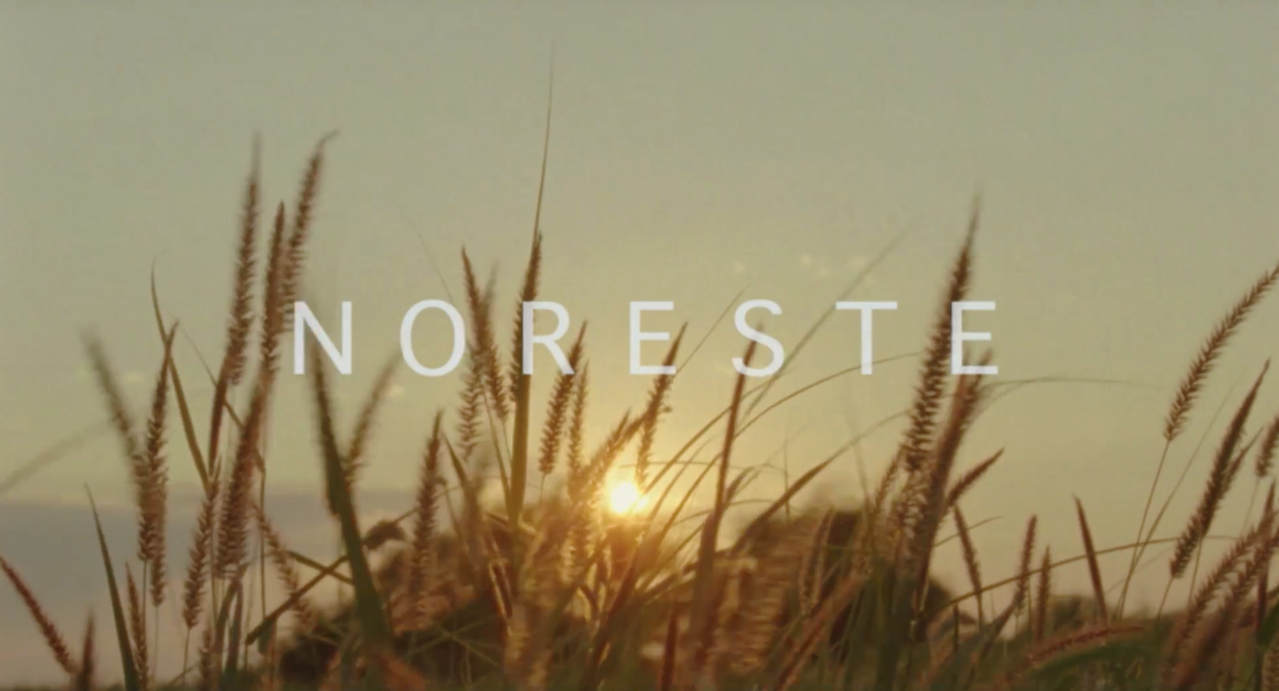 Screen Shot 2018-08-13 at 1.40.55 AM.png