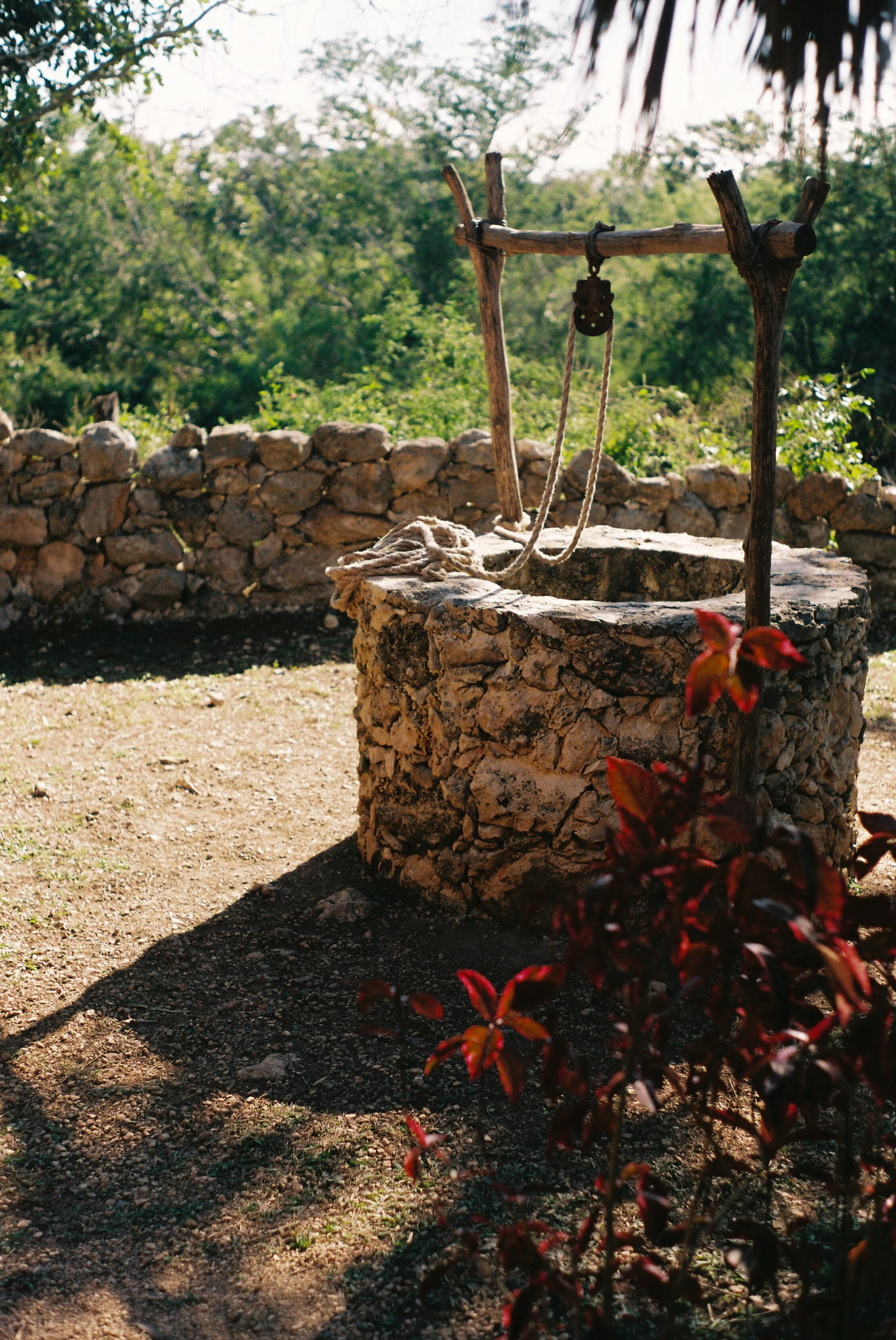 Merida_Dic_2019-17.jpg