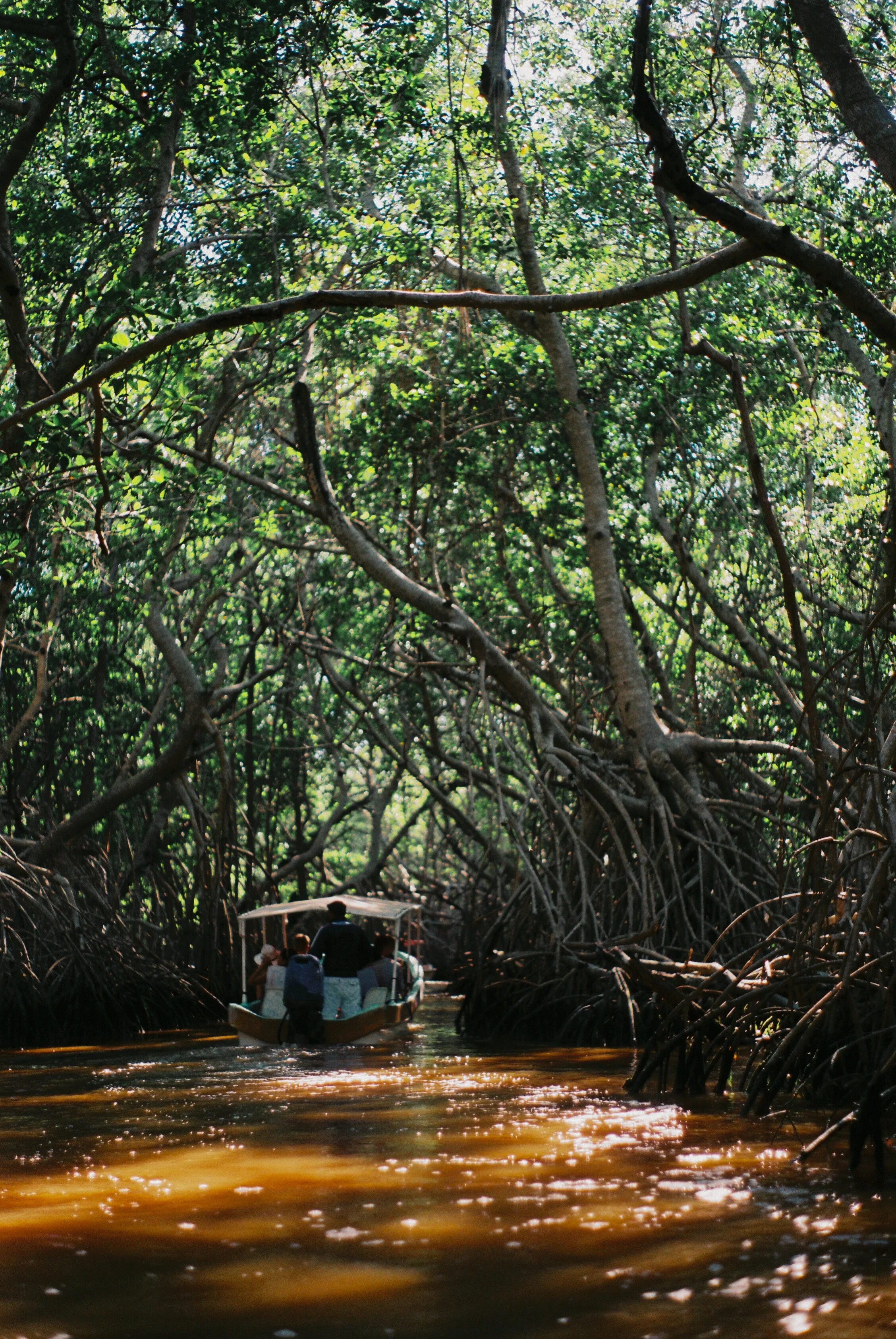Merida_Dic_2019-4.jpg