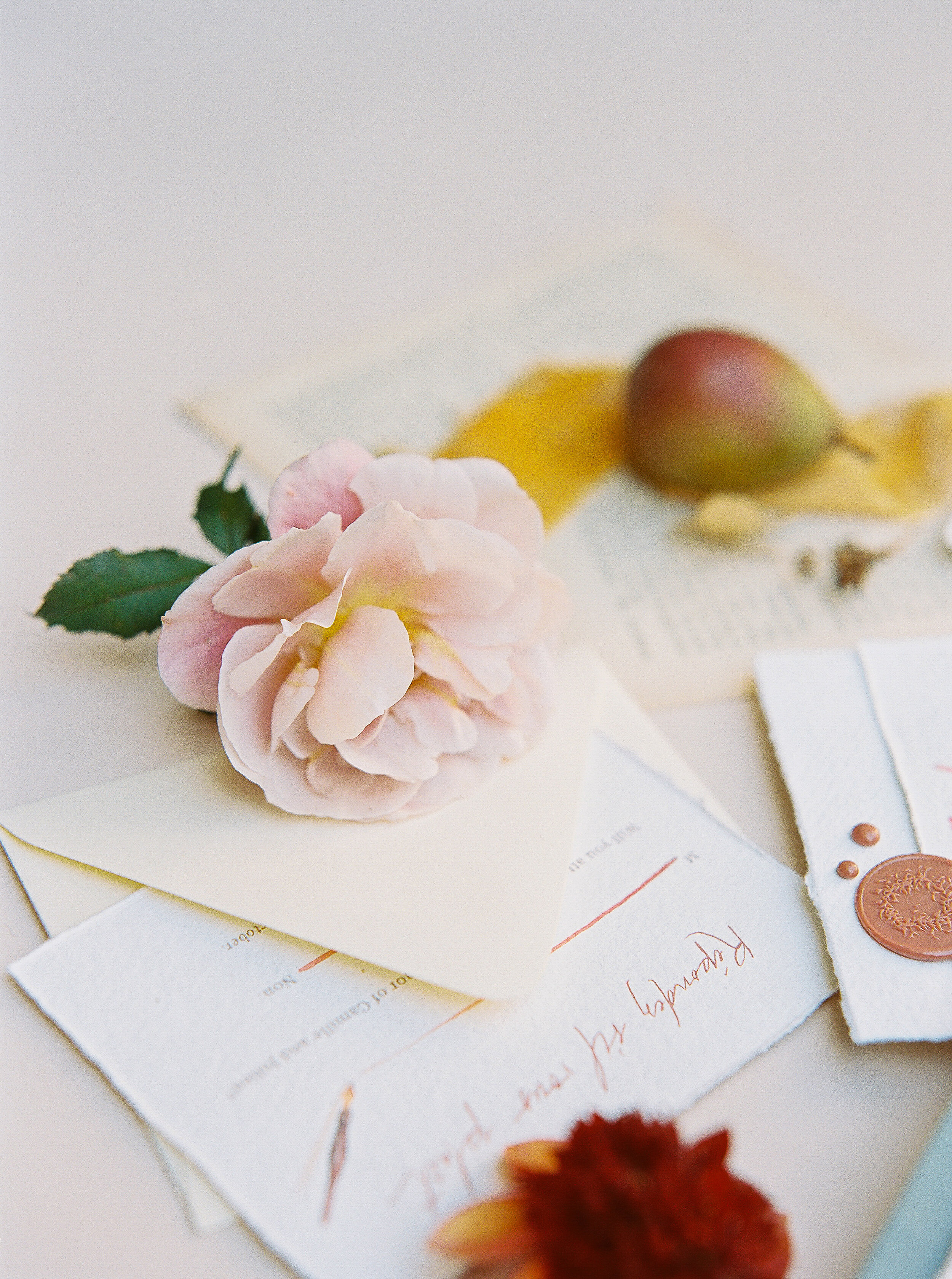 Alexandra-Elise-Photography-Ali-Reed-Film-Wedding-Elopement-Photographer-Styled-Shoot--035.jpg