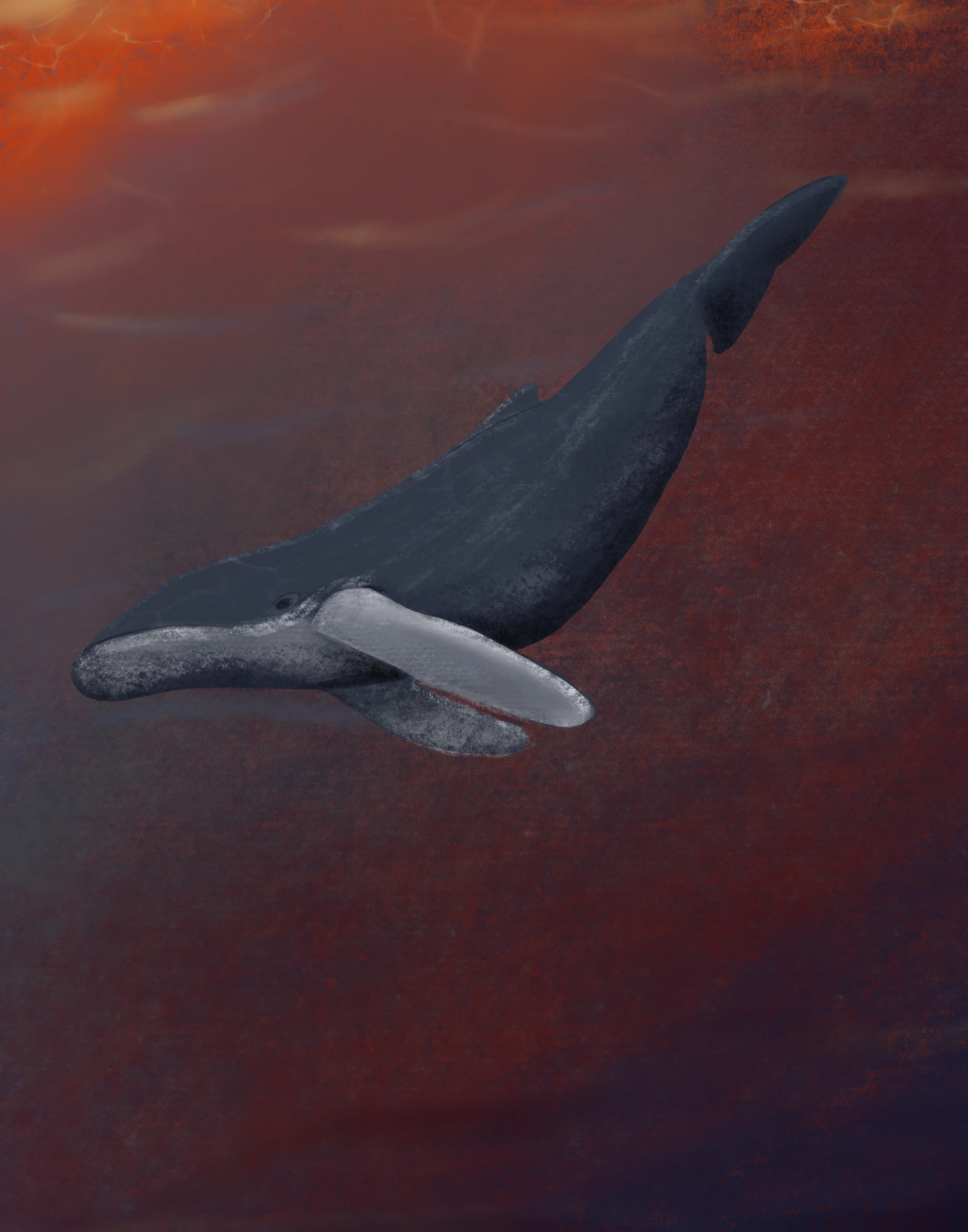 Cortney_McClure_whale meditation.jpg