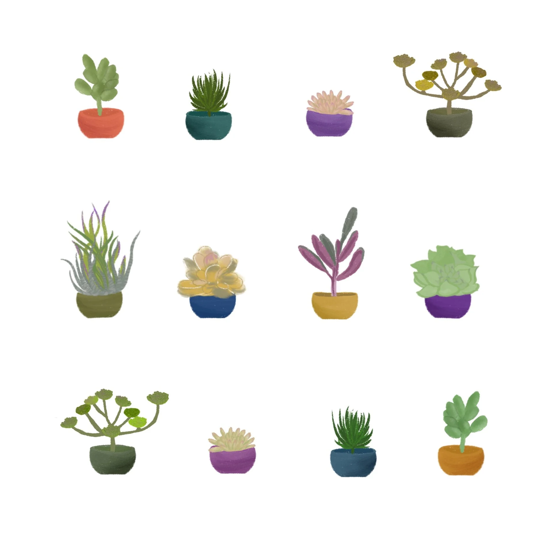 Pattern &amp; Home Decor
