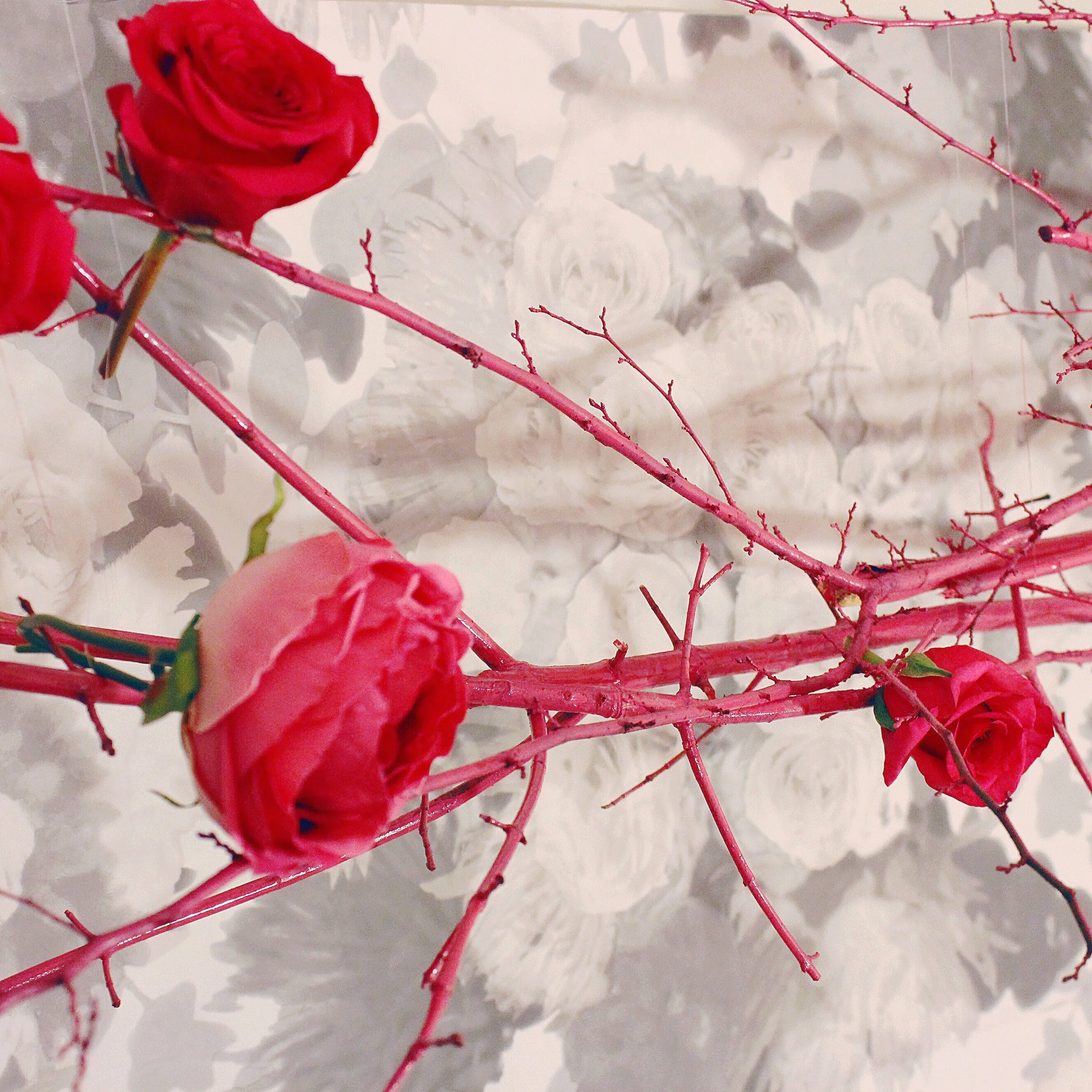 pink branches.jpg