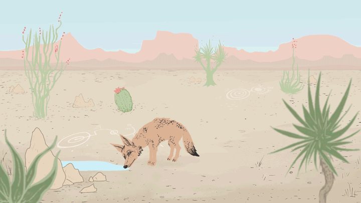 SKINWALKER-SCENE.gif