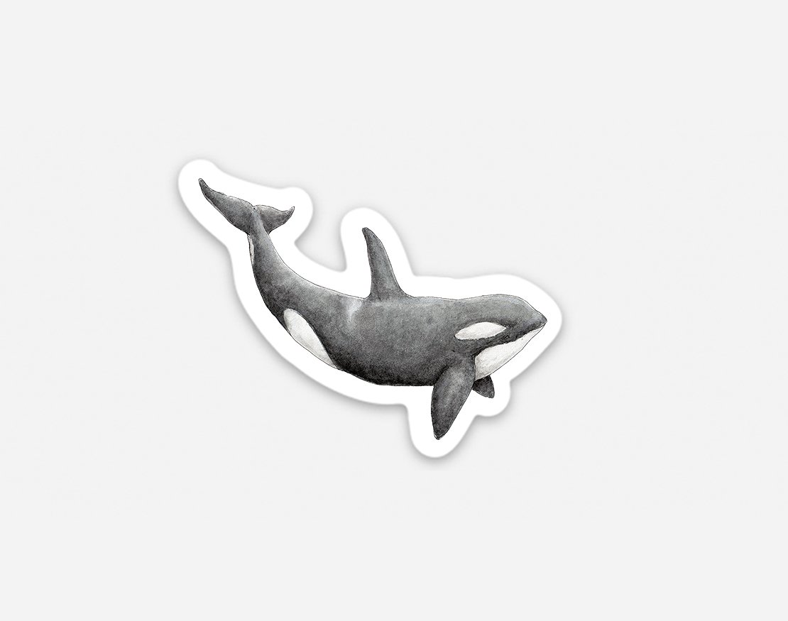 orca.jpg