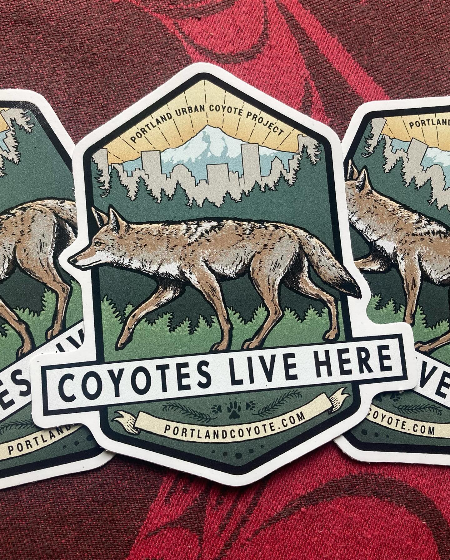 AaaaOOoooooo! These new coyote stickers got me howling with joy. If you&rsquo;re interested, they are on sale from @portlandcoyote and they help raise money and awareness for their efforts with urban coyotes.  Thank you @portlandcoyote for sending th