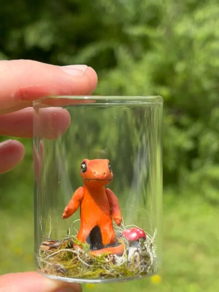 Newt in a jar (this one is a red eft - the juvenile stage of the eastern newt) only at @thebigcrafty this Saturday and Sunday! #notophthalmusviridescens #redeft #ashevilleartist