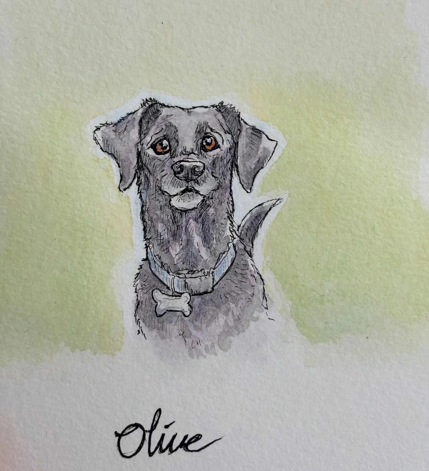 This is my second time pet sitting sweet Olive (which seems to be a very popular name for dogs around Asheville at least) and I luckily had the time to do a little quick watercolor and pen portrait of her little buddy face. She&rsquo;s just one of th