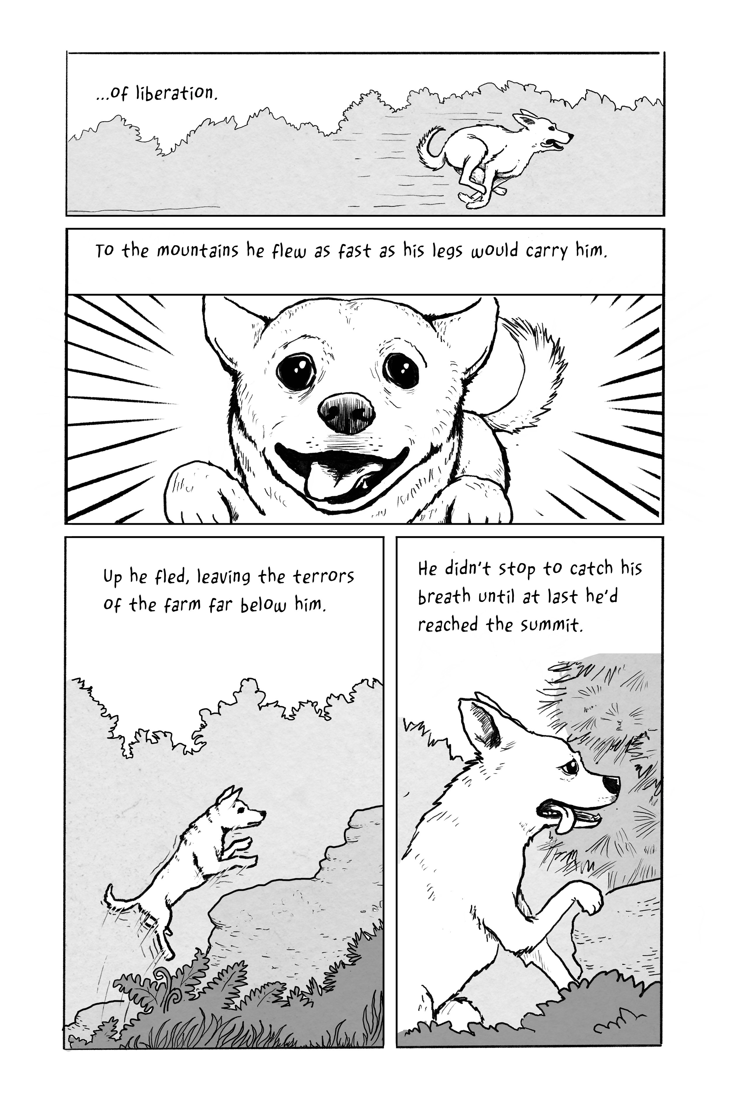 GN_CH_Canine Rev_P05.jpg