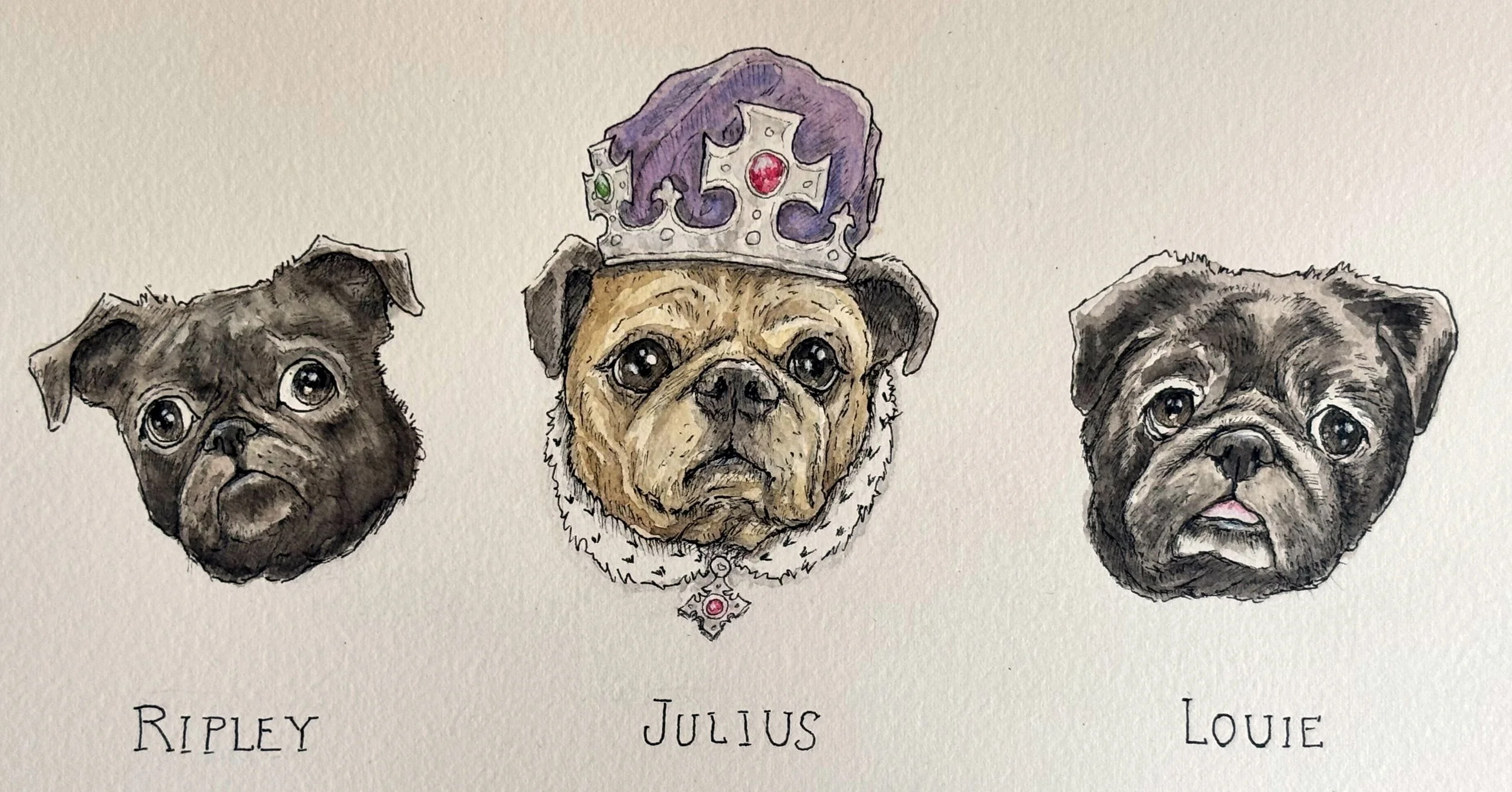 LauraDogs.jpeg