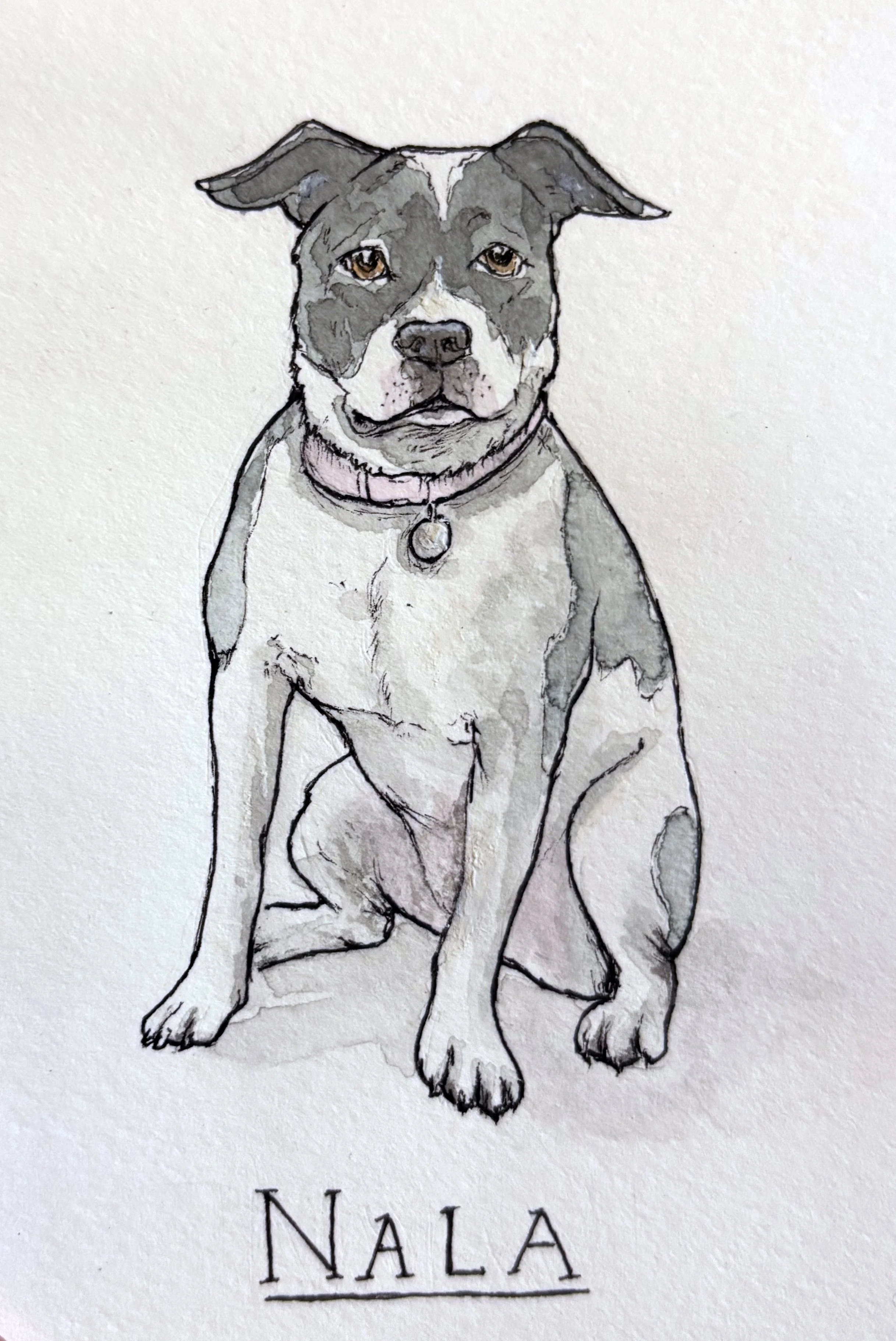 nala.jpeg