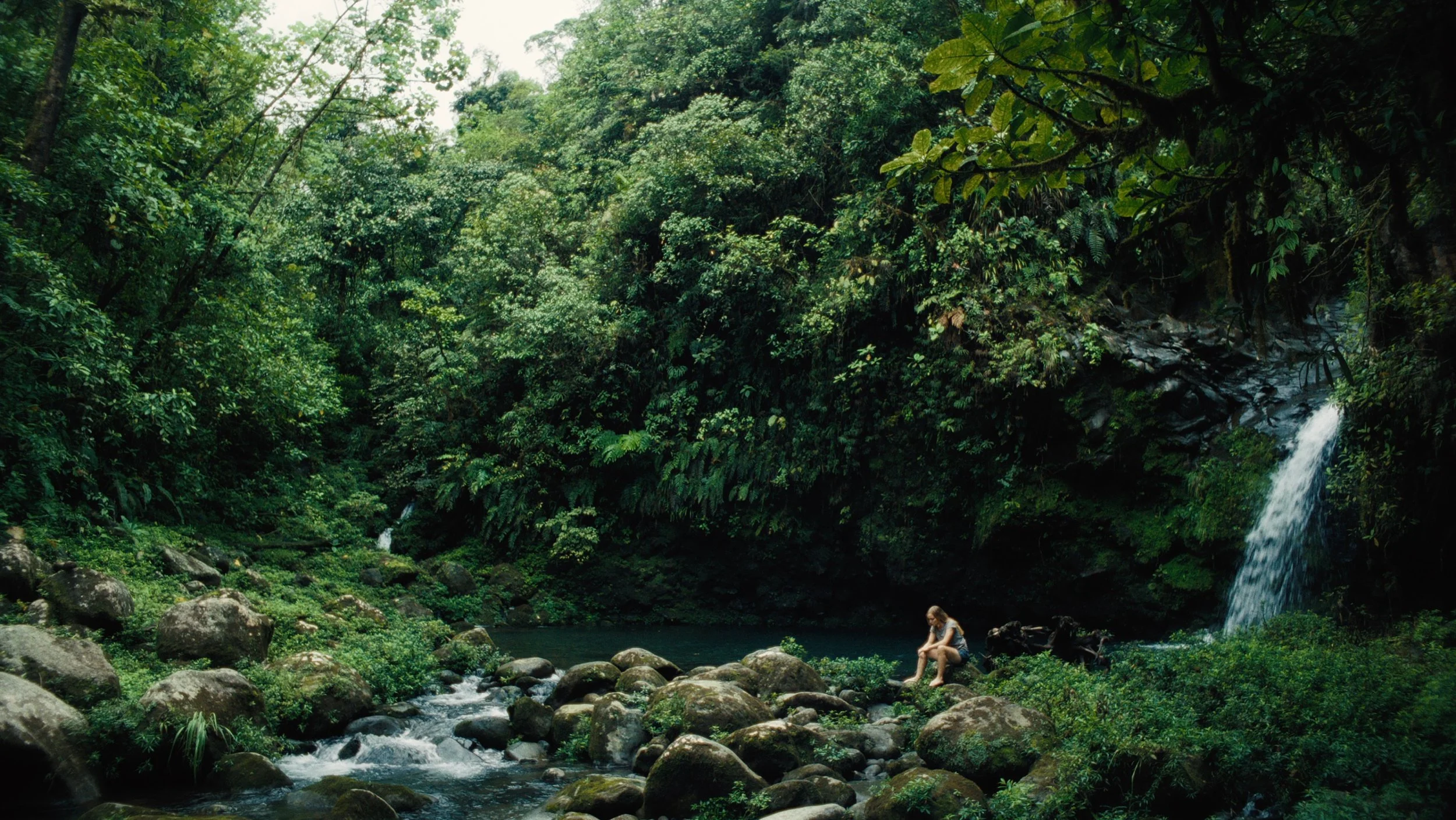 Screenshot 2024-08-02 at 3.35.59 PM.jpeg