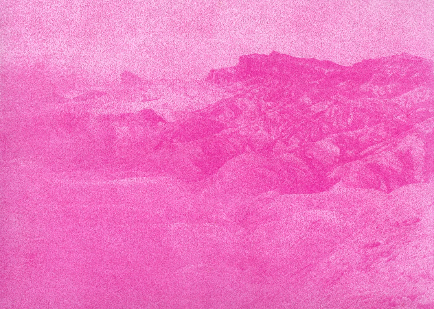 Pinkscape#5_Selvaggio_Dordetti.jpg