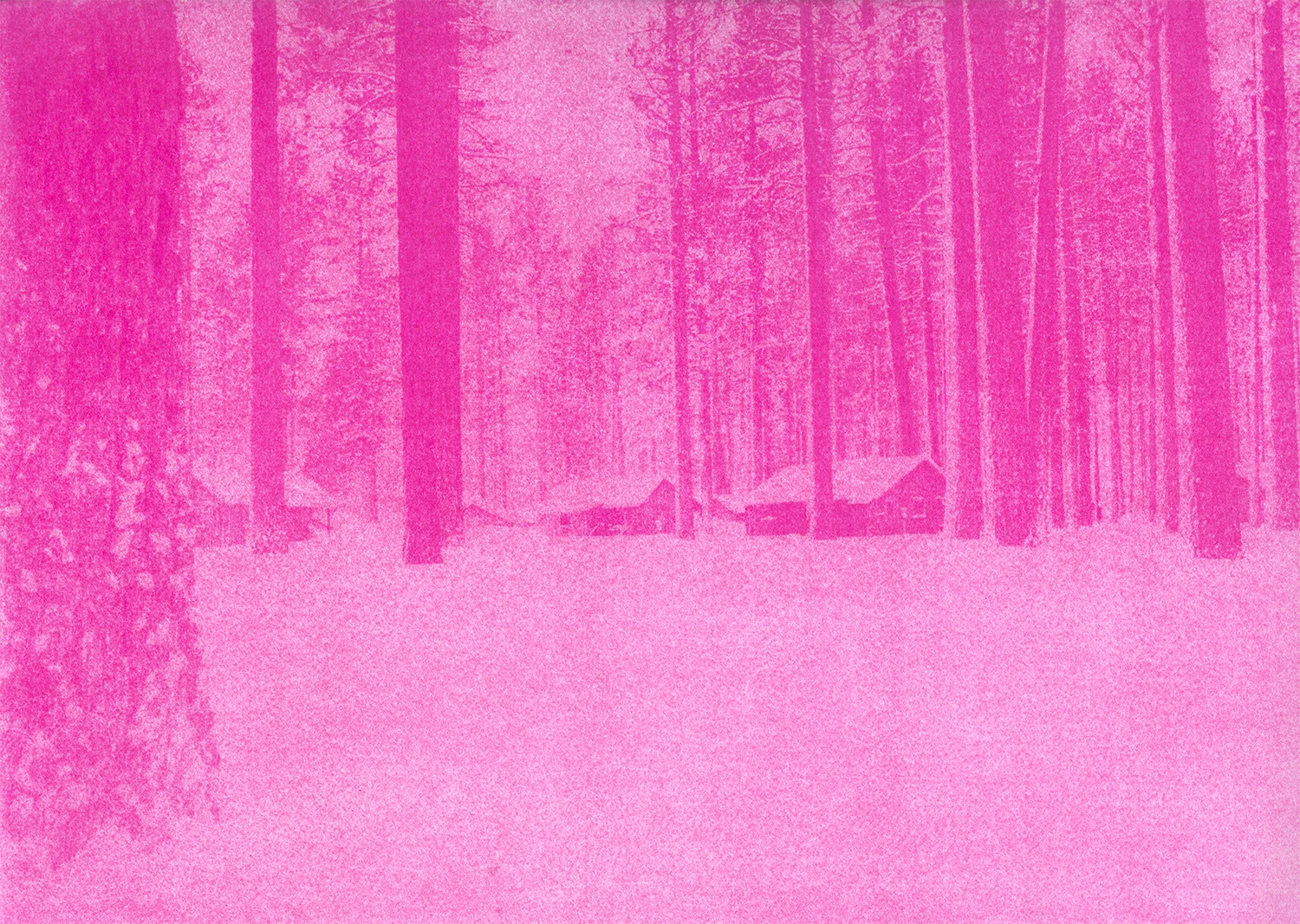 Pinkscape#3_Selvaggio_Dordetti.jpg
