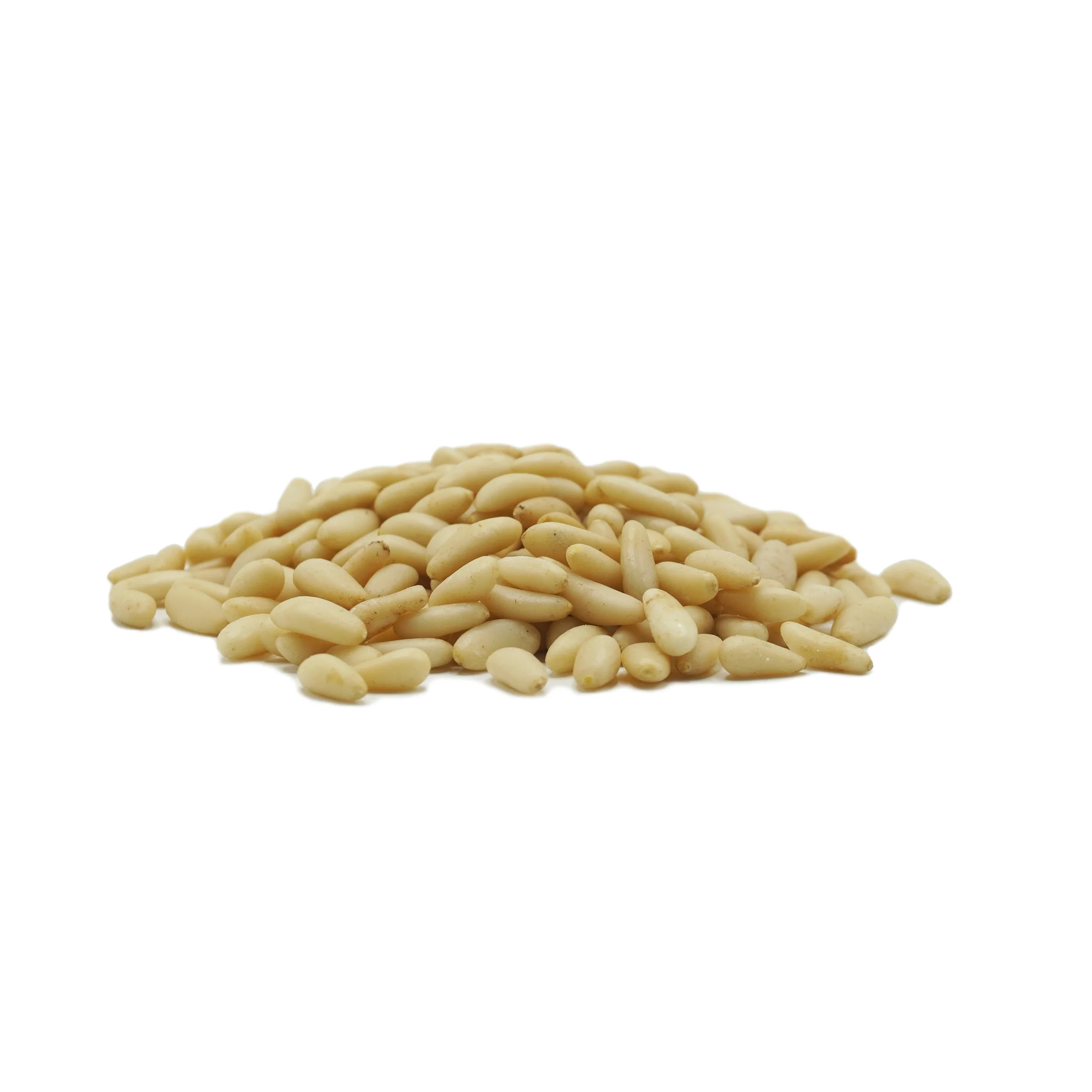 Raw Pine صنوبر بلدي