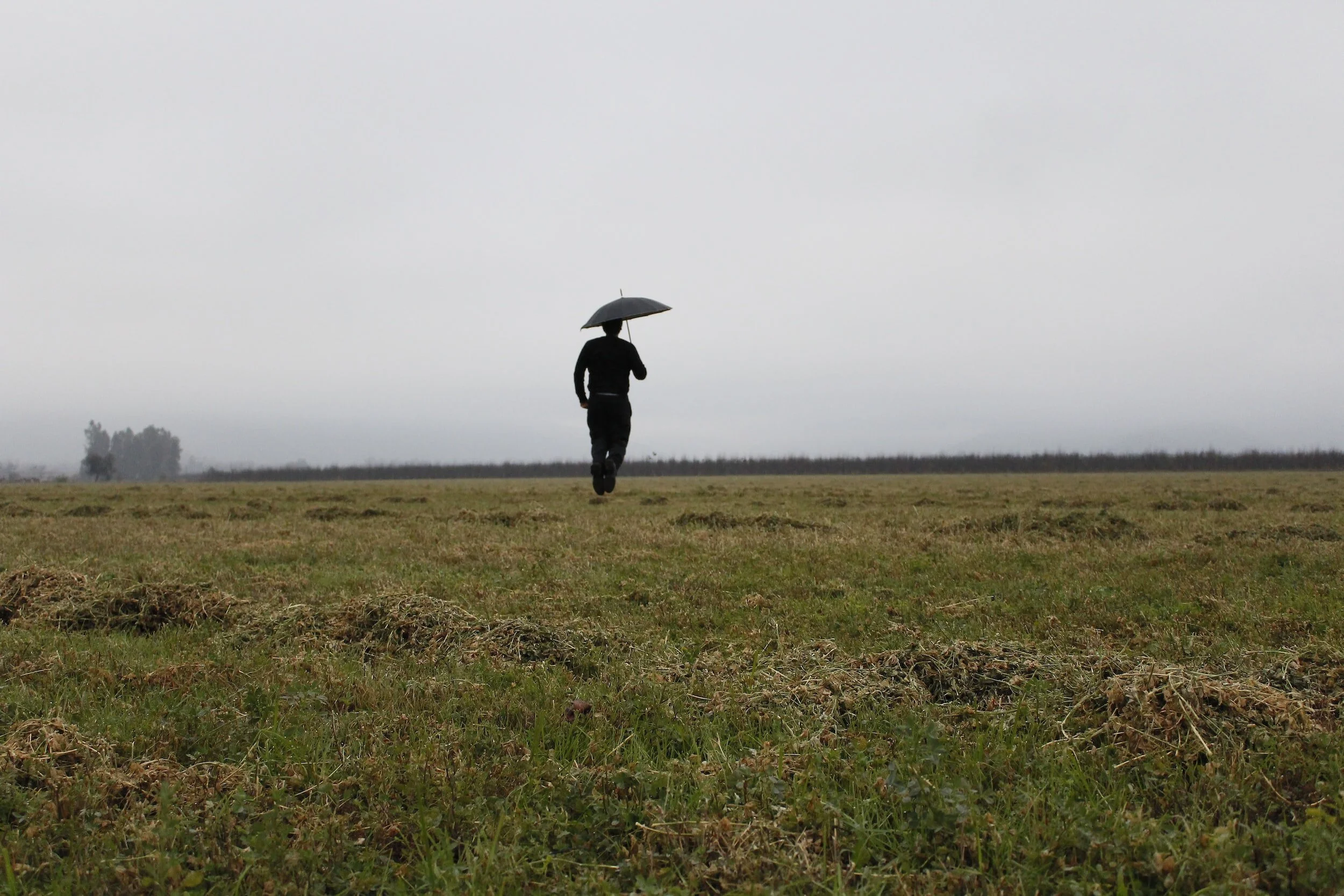King Island Cloud Juice