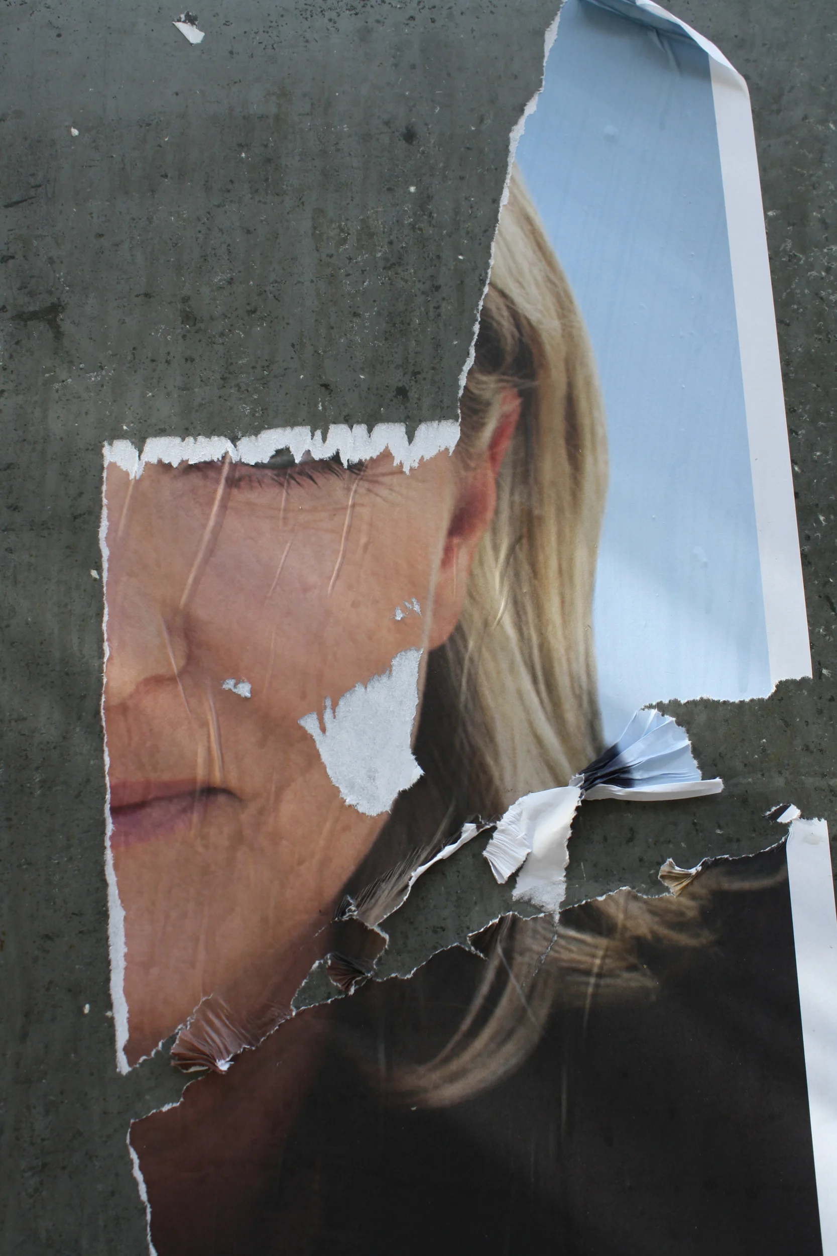 le pen 2012.jpg