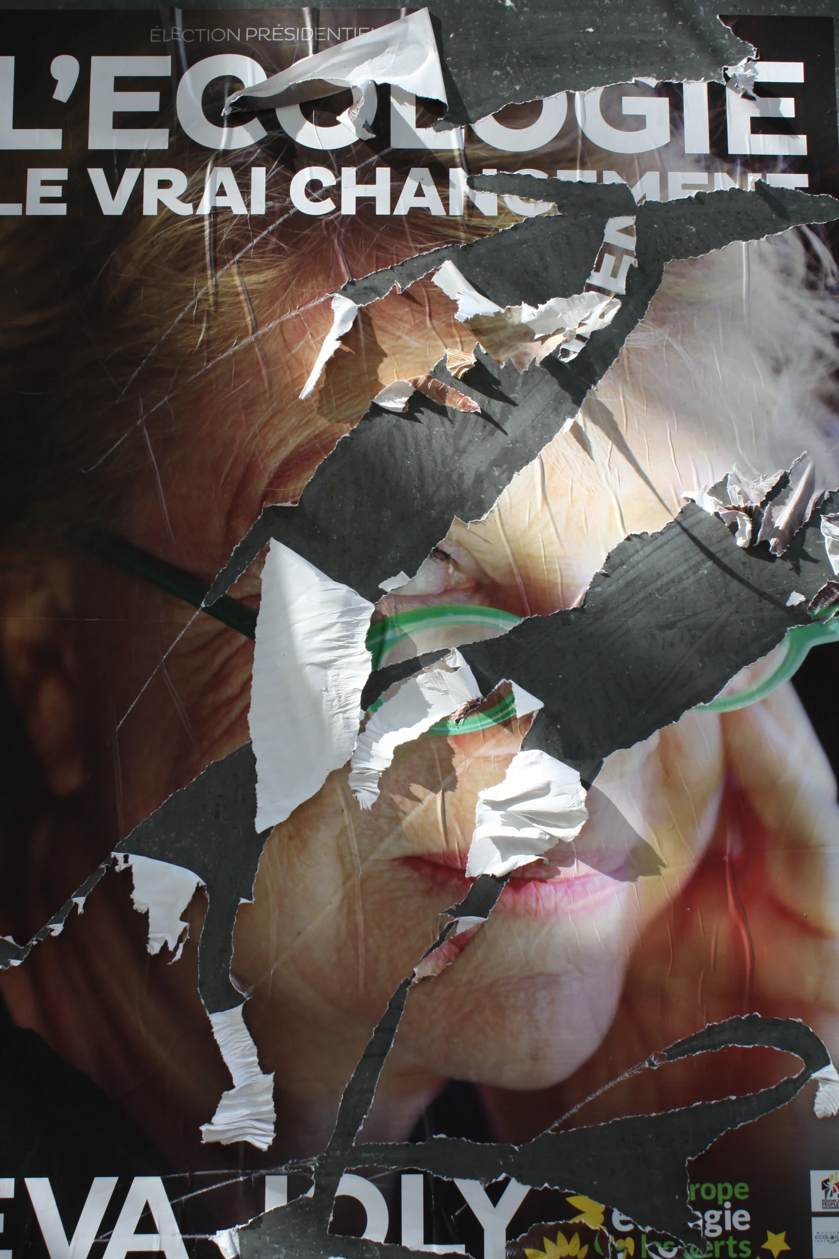 Eva Joly torn 2012.jpg