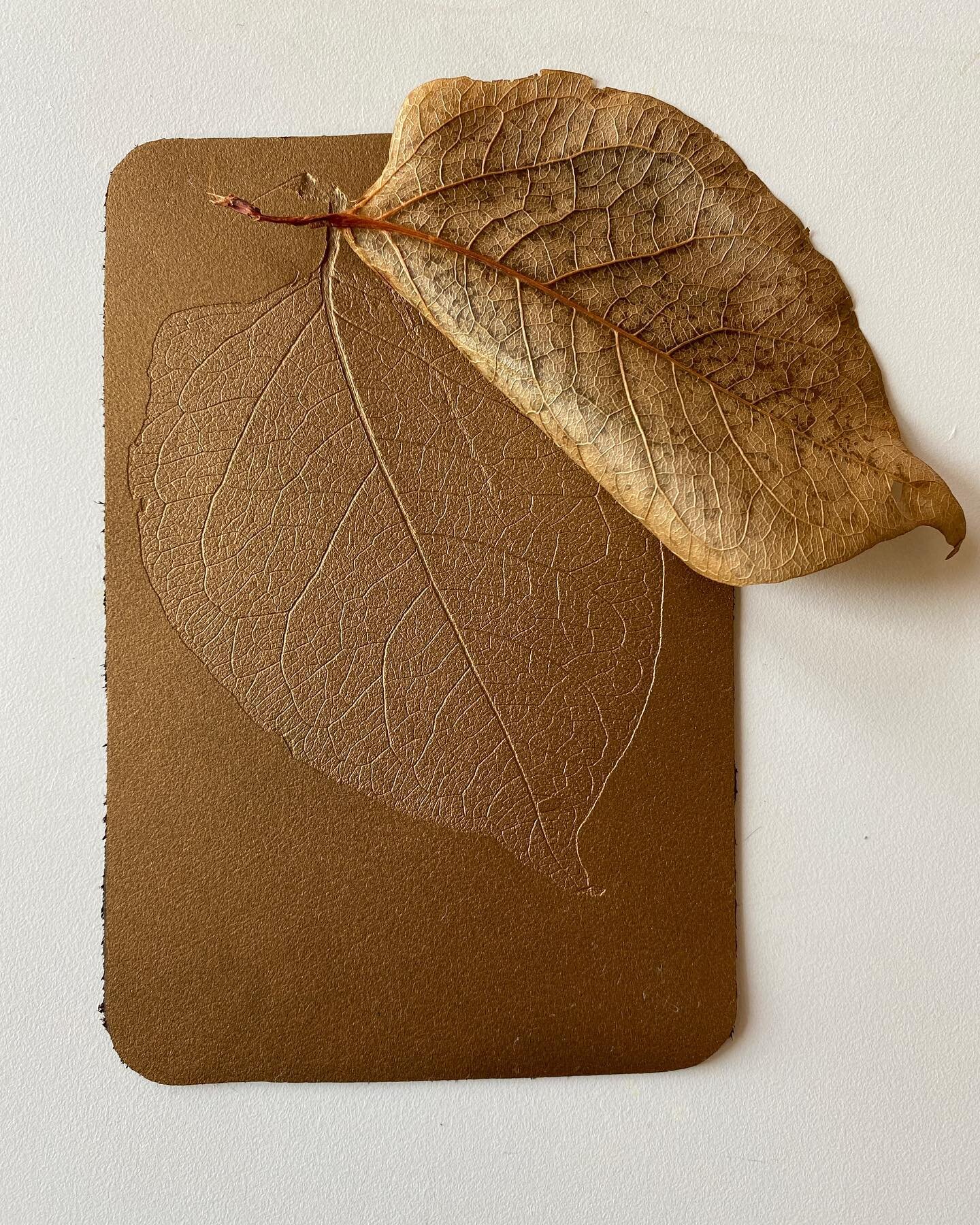 #workinprogress 
Hand-embossed organic leaf on leather🌿

#carinasohl #fineart #bespoke #patternsofnature #naturalinterior #handcrafted #naturepatterns #patternspoetry #craftsmanship #oneofakind