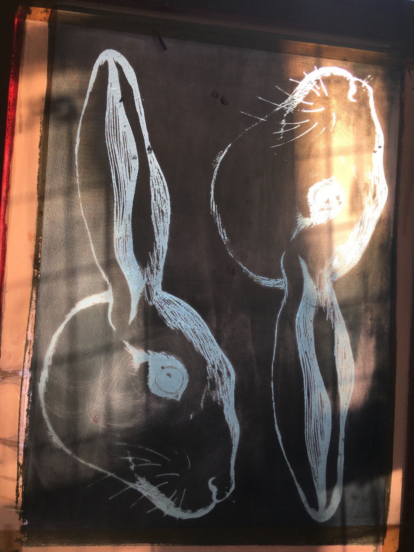 Sun light shining through the rabbit screen in my studio this week as I&rsquo;ve been printing your Easter rabbits&hellip; Spring is coming ☀️🌱

Head over to the shop to see our Easter Rabbits in a rainbow of colours! 🌈🐰