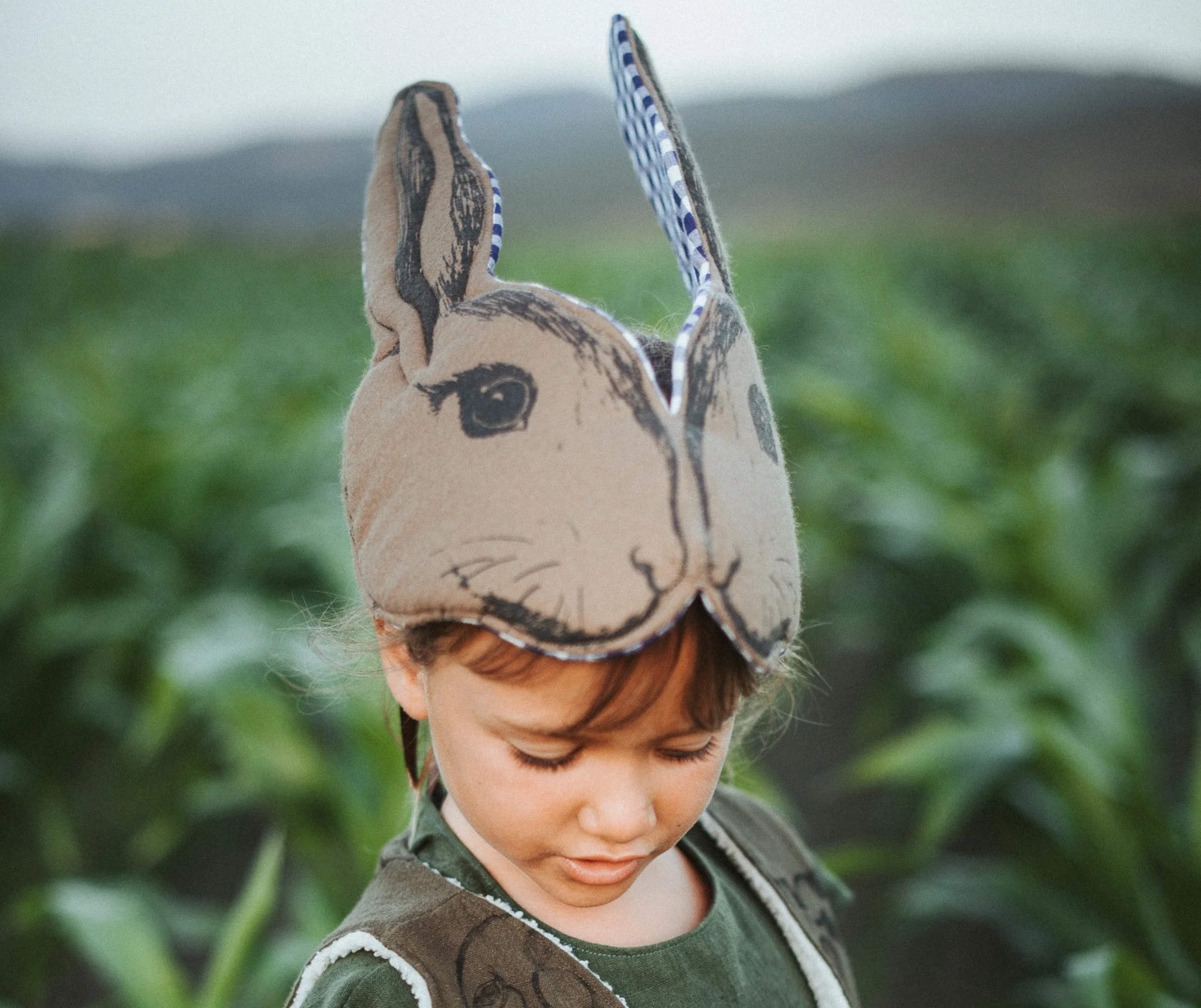 Peter Rabbit Headdress