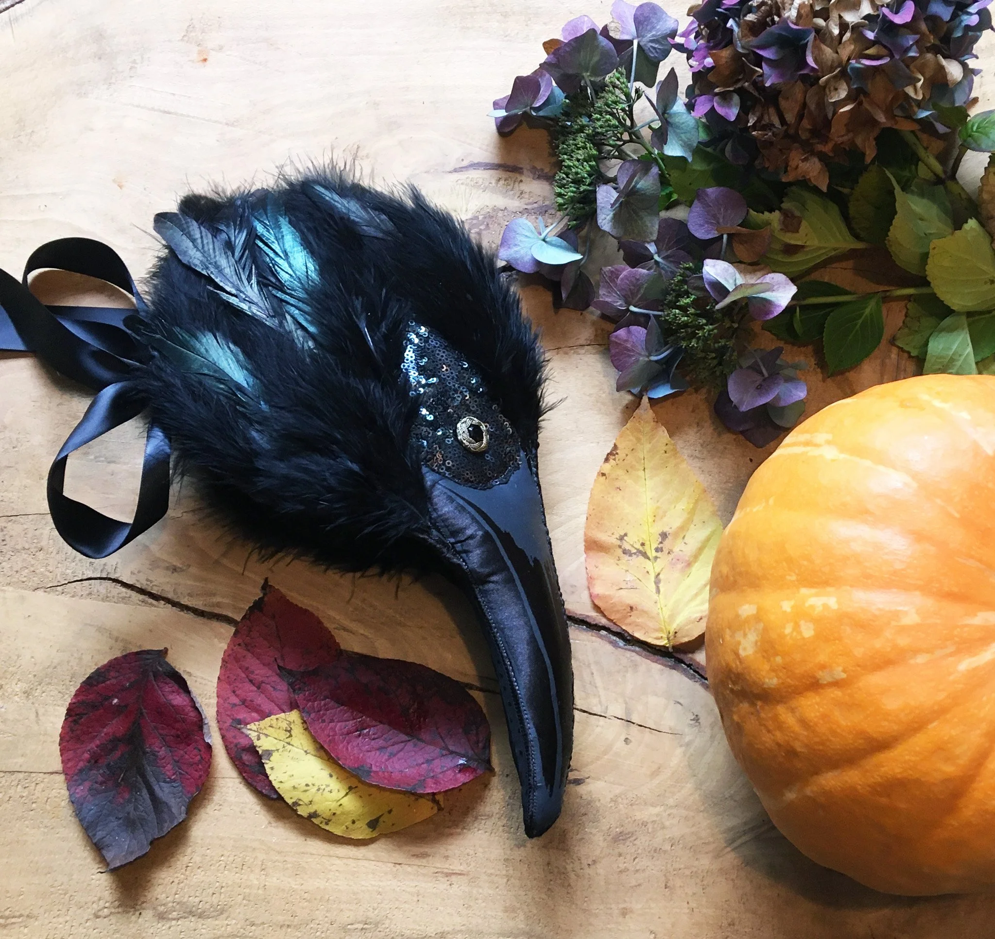 crow-2.jpg