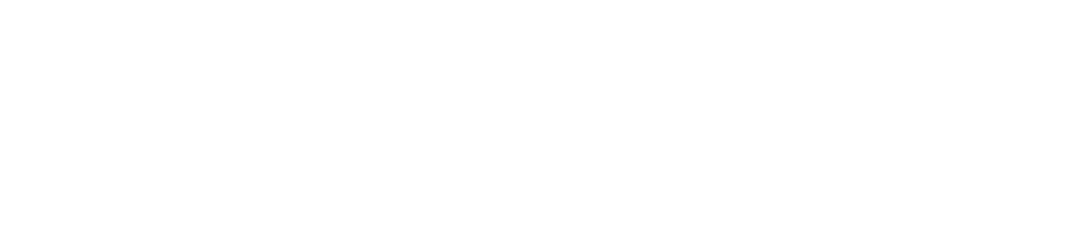 NGvideo logo.png