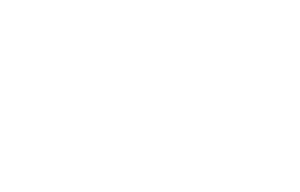 speedo.png