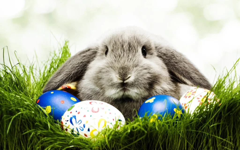 easter-bunny-1024x640.jpg