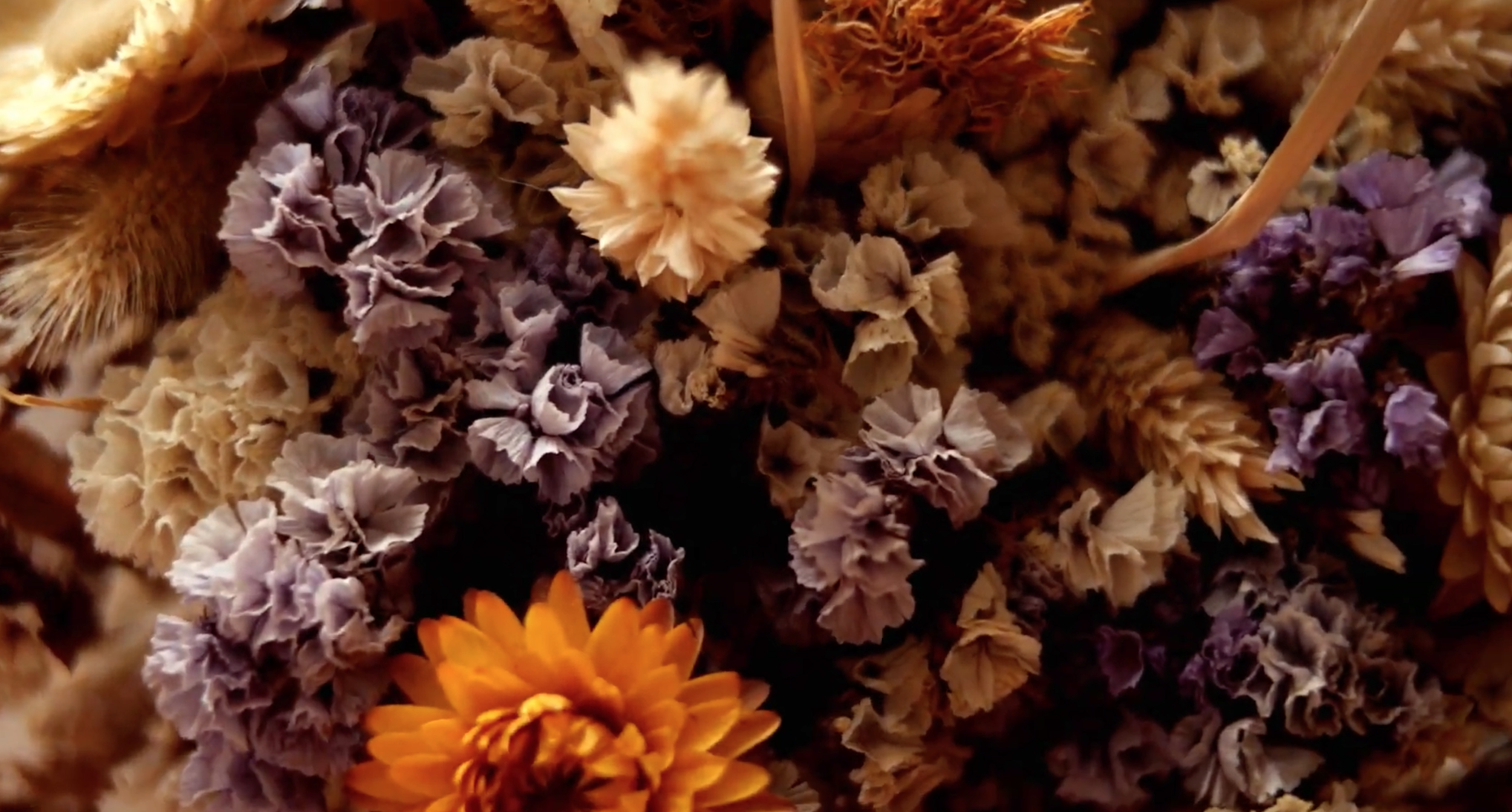 Bildschirmfoto 2026-01-22 um 13.22.08.png