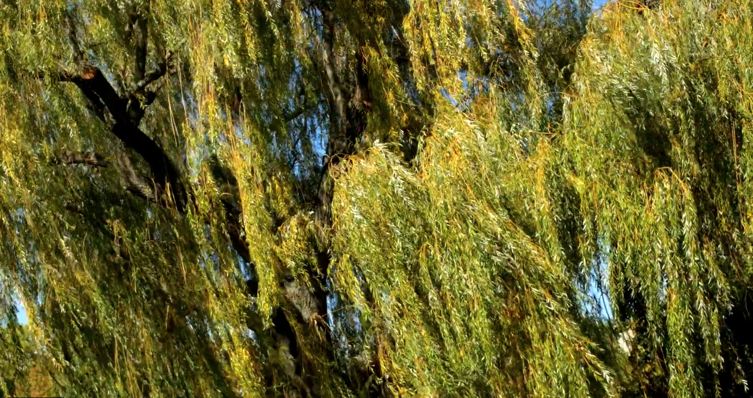 Bildschirmfoto 2026-01-22 um 13.34.24.png