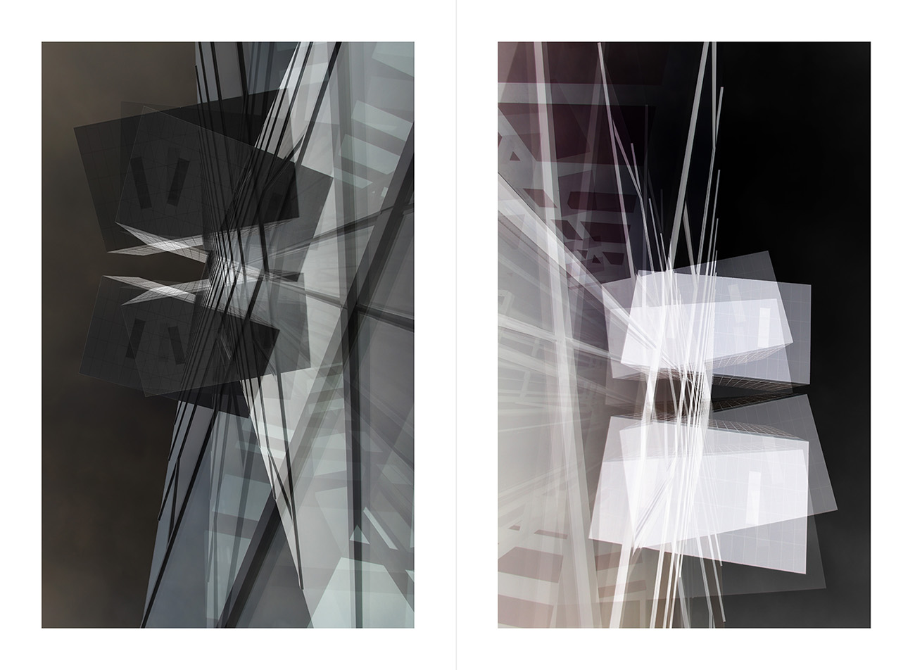 Spinal Structure in Transformation - History 1.1 2017 Archival inkjet on cotton rag paper 48.3cm high x 66cm wide 2 panels, each 48.3cm high x 33cm wide