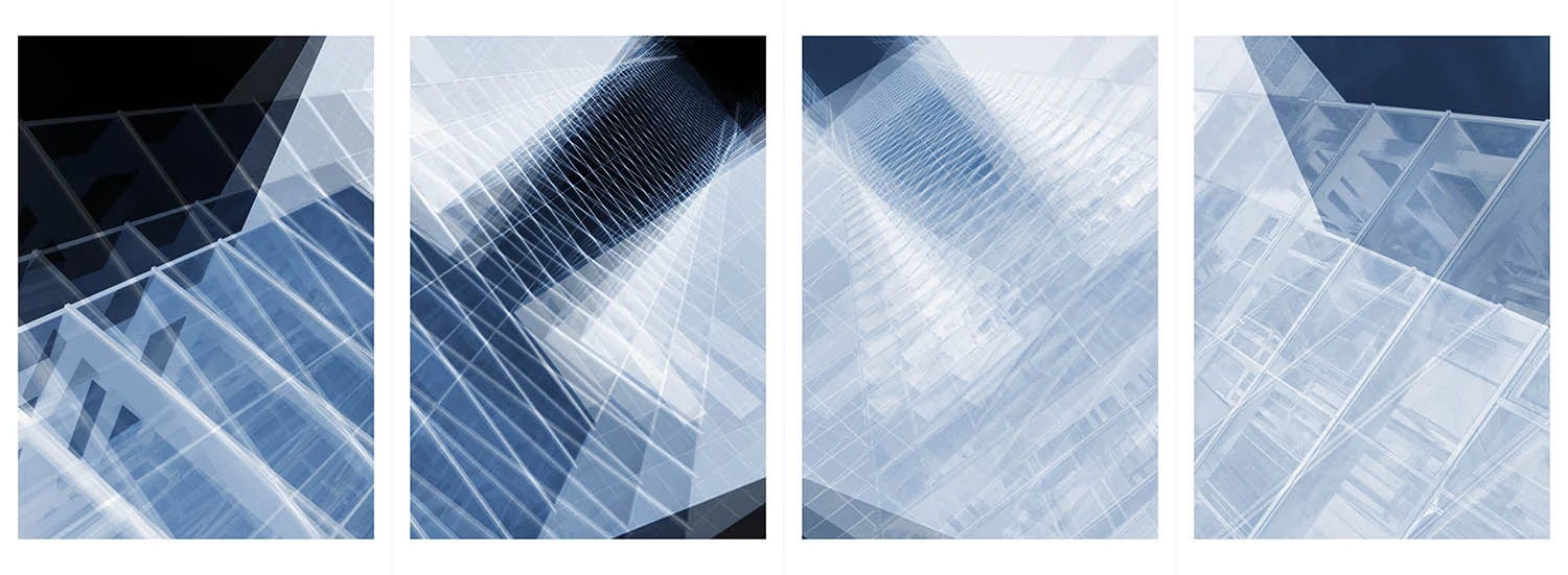 Vertebral Densitometry - History 1.1 2017 Archival inkjet on cotton rag paper 48.3cm high x 131.6cm wide 4 panels, each 48.3cm high x 33cm wide