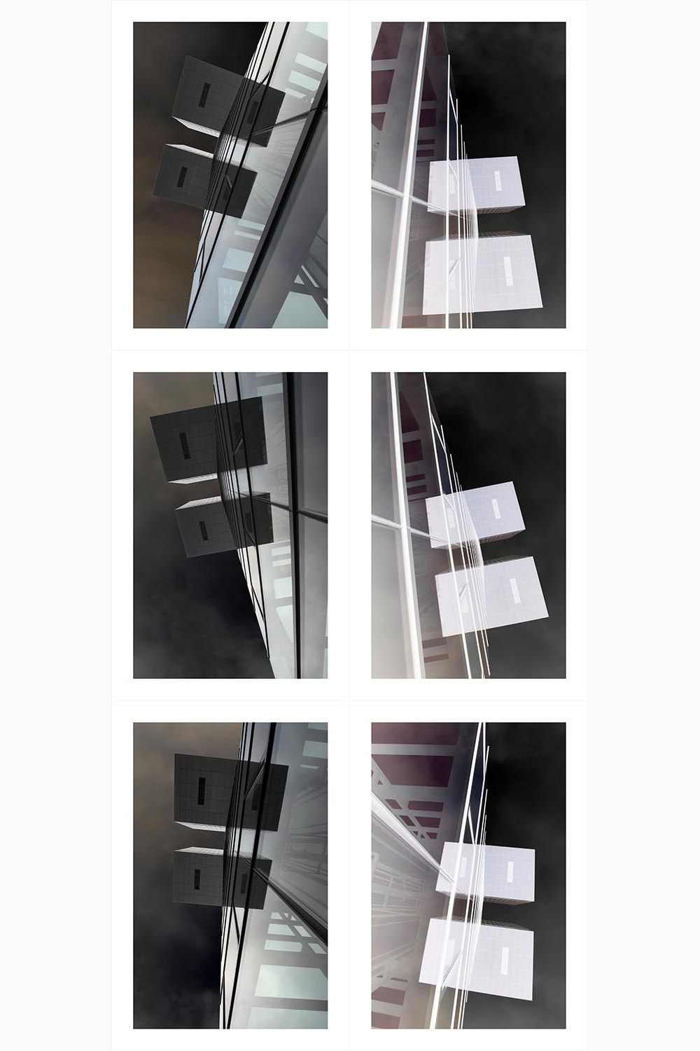   Spinal Structure in Transformation  2015  Archival inkjet on cotton rag paper  145cm high x 66cm wide  6 panels, each 48.3cm high x 33cm wide 