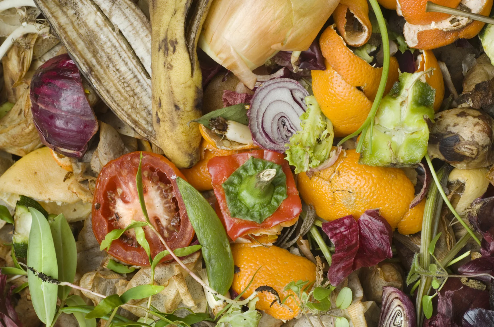 istock_foodmedium.jpg