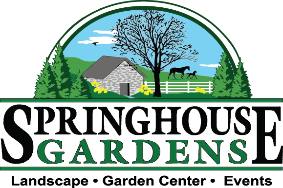 SPRINGHOUSE GARDENS