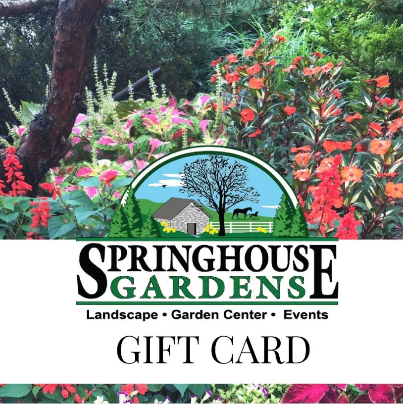 Gift Card Original.JPG