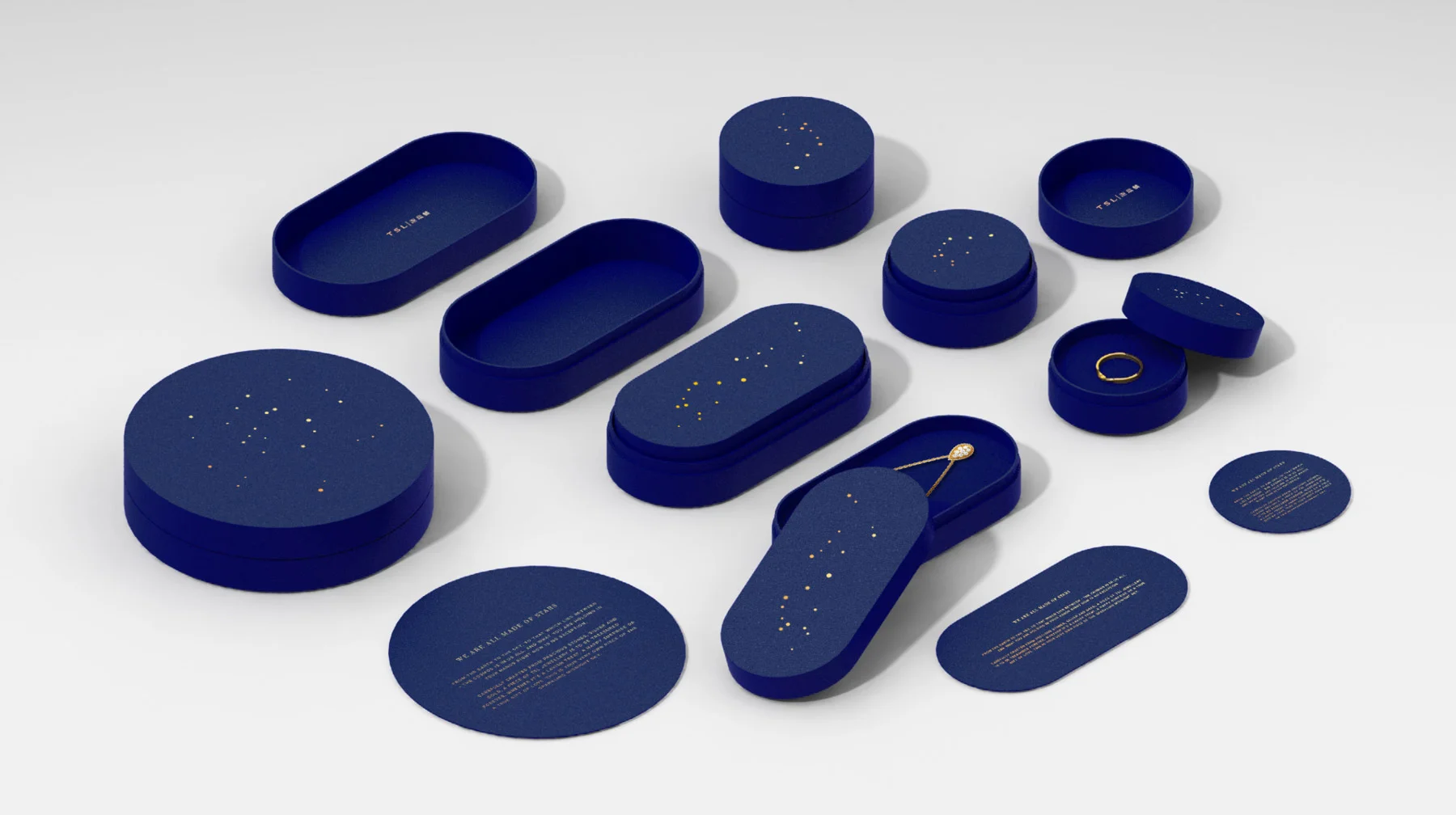 TSL-case-04.jpg